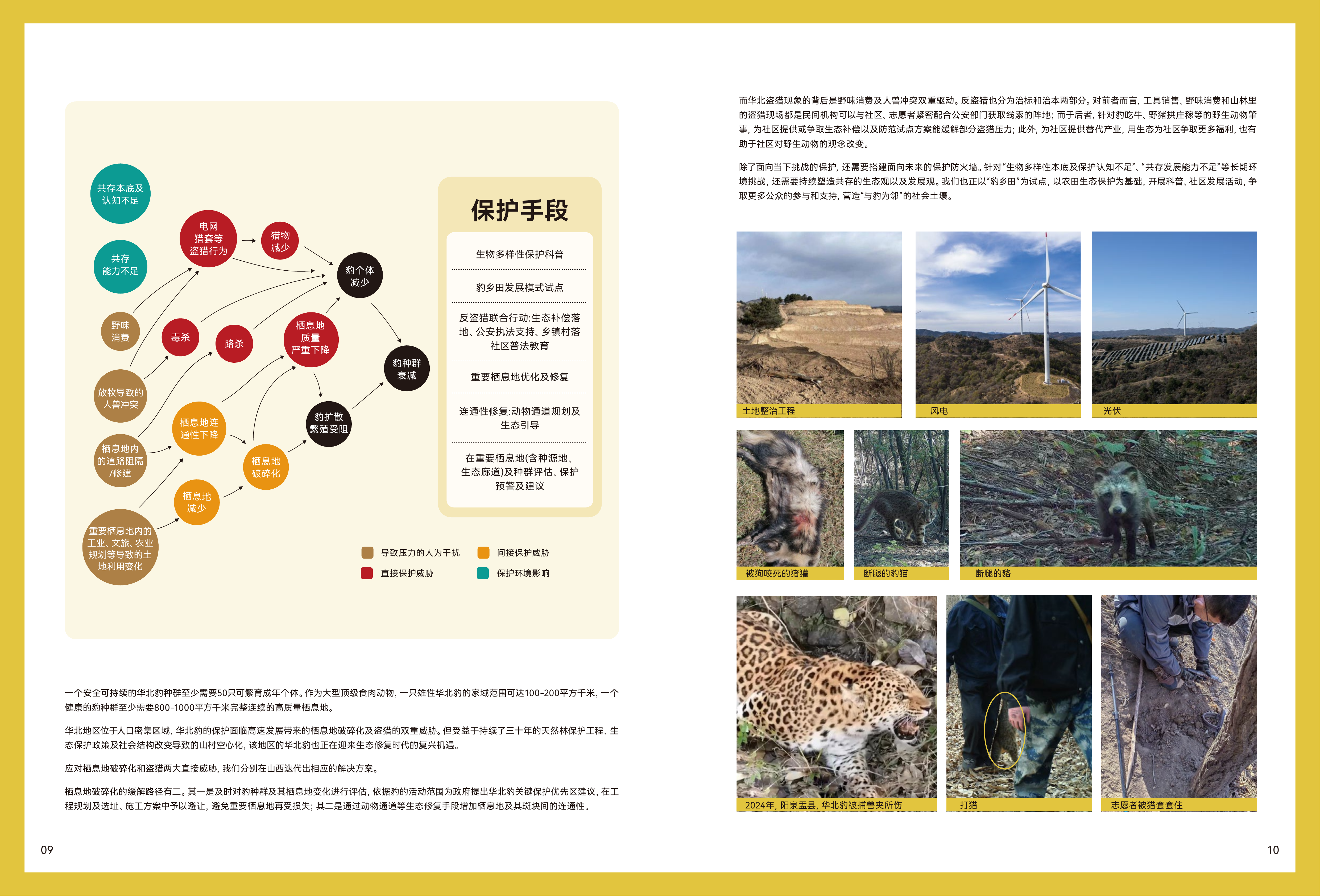 2022～2025猫盟年度报告-猫盟 第8页