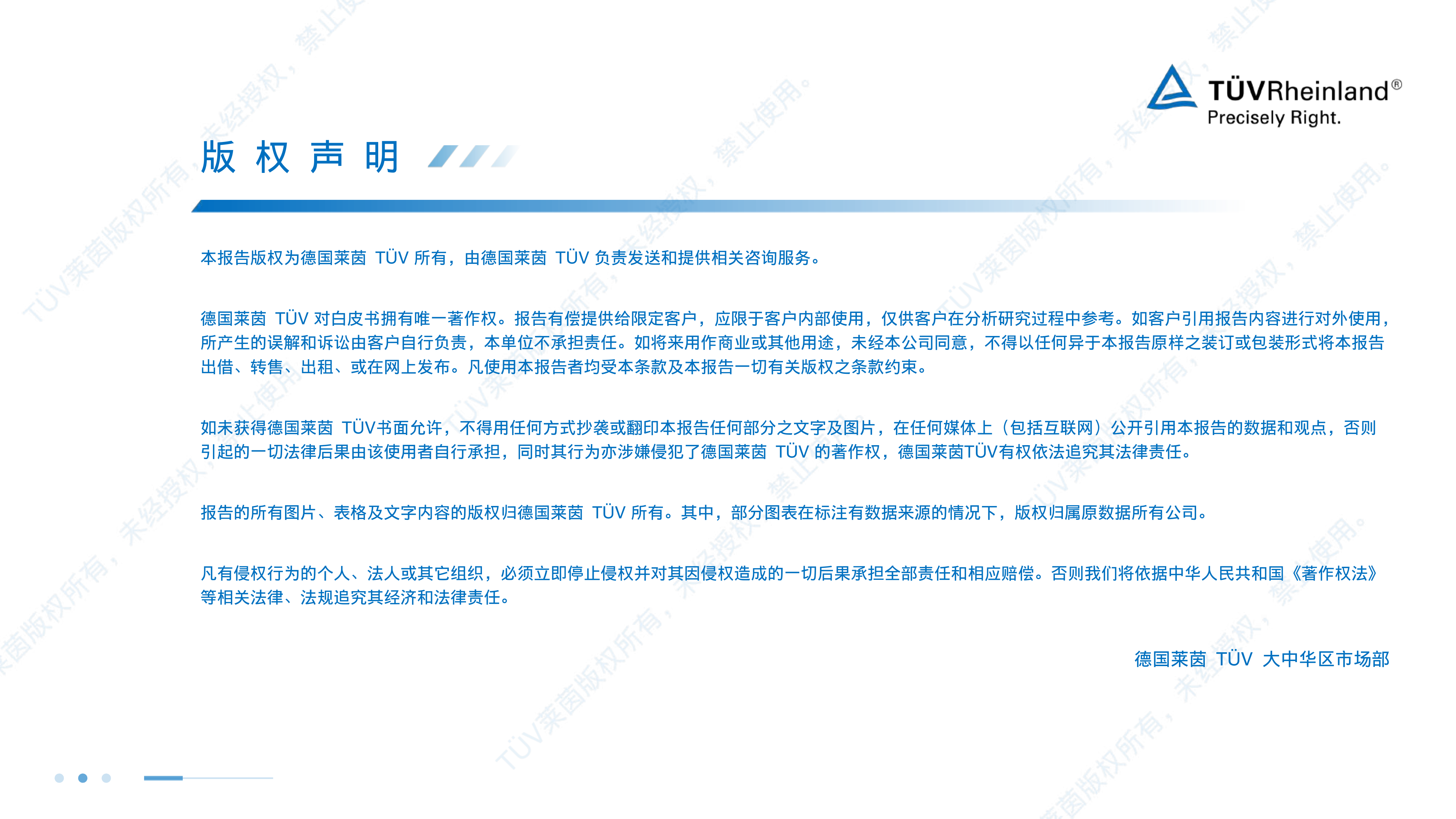 2026年储能白皮书-T&Uuml;V莱茵 第2页