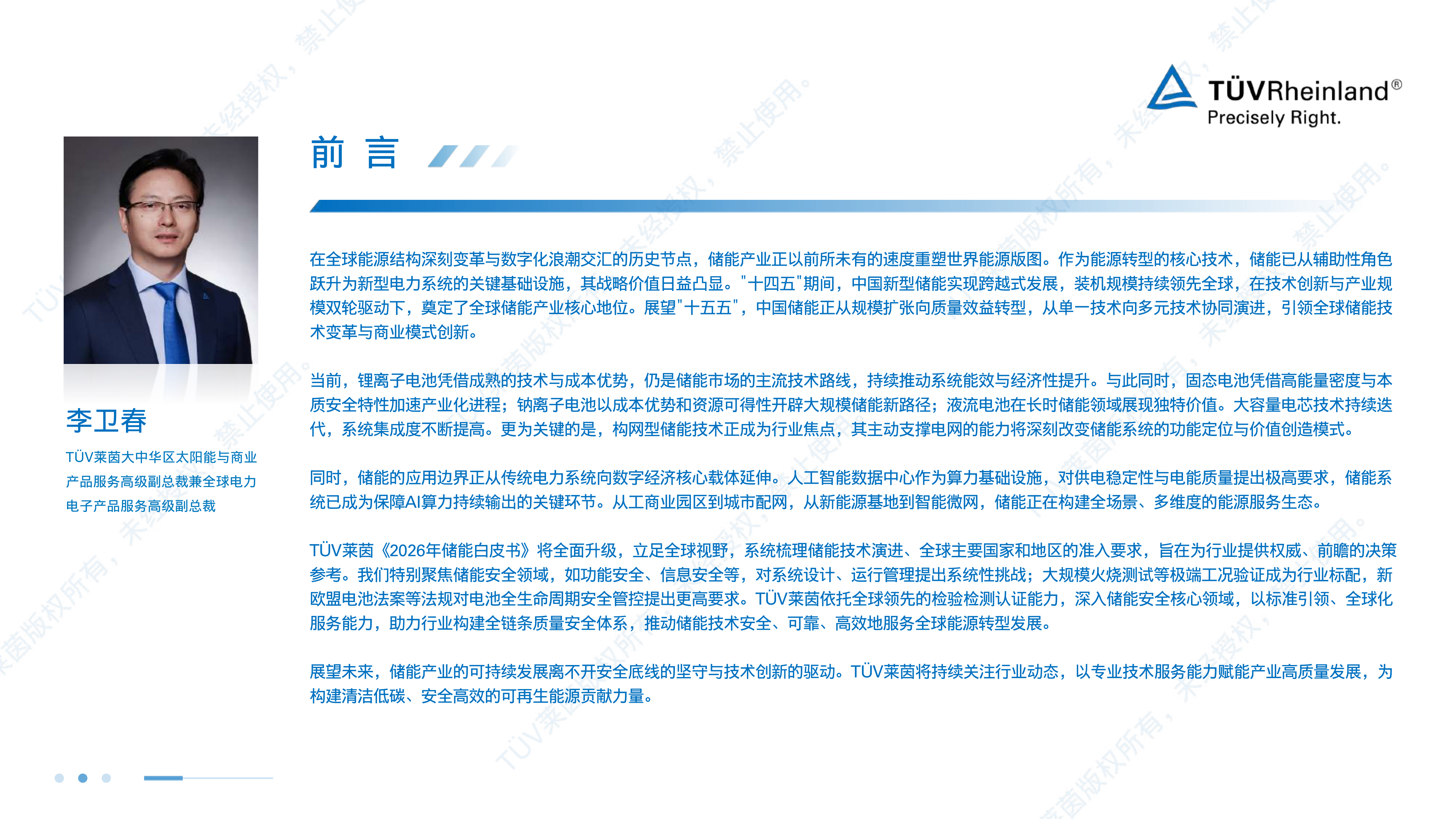 2026年储能白皮书-T&Uuml;V莱茵 第3页