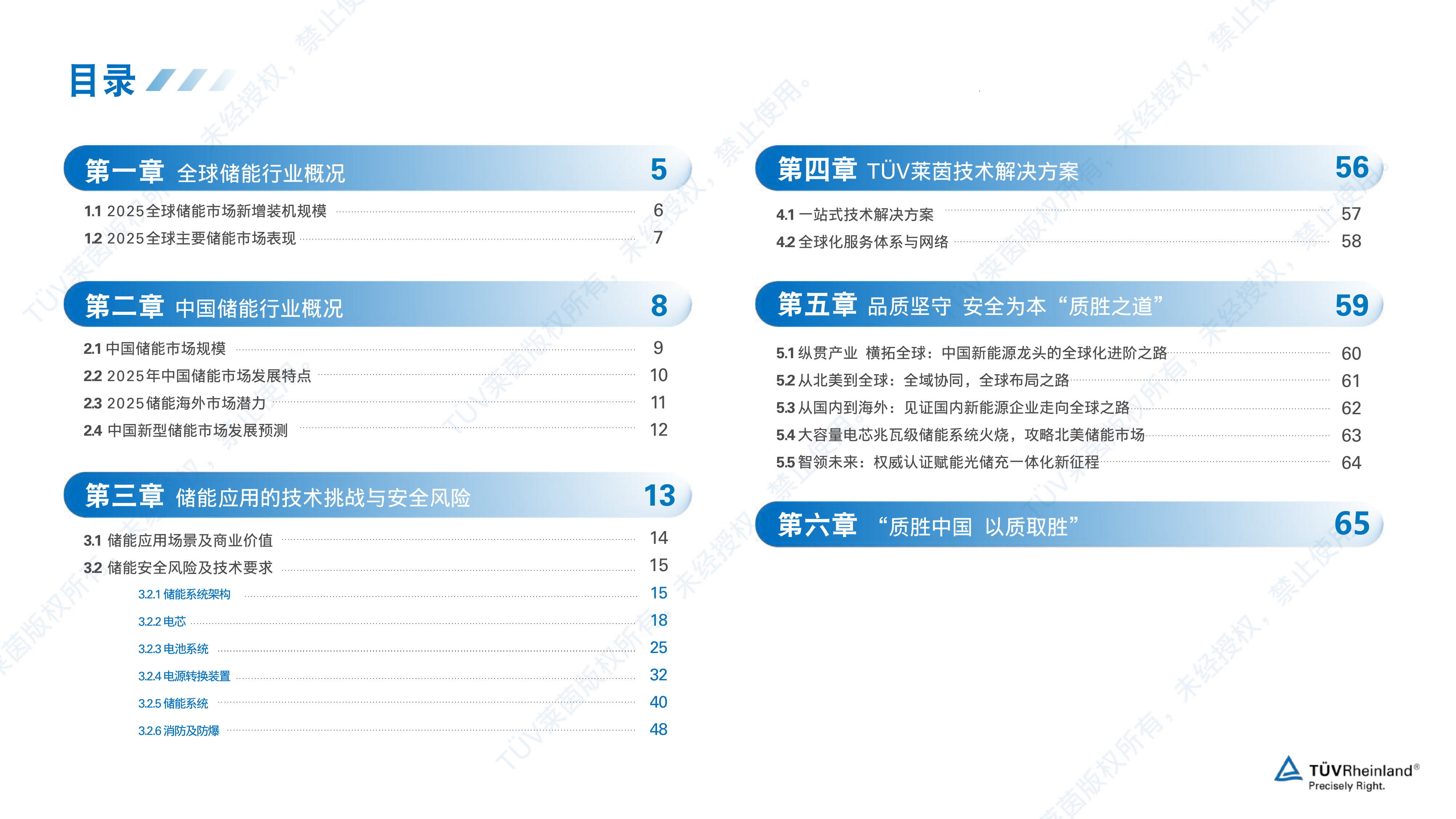 2026年储能白皮书-T&Uuml;V莱茵 第4页
