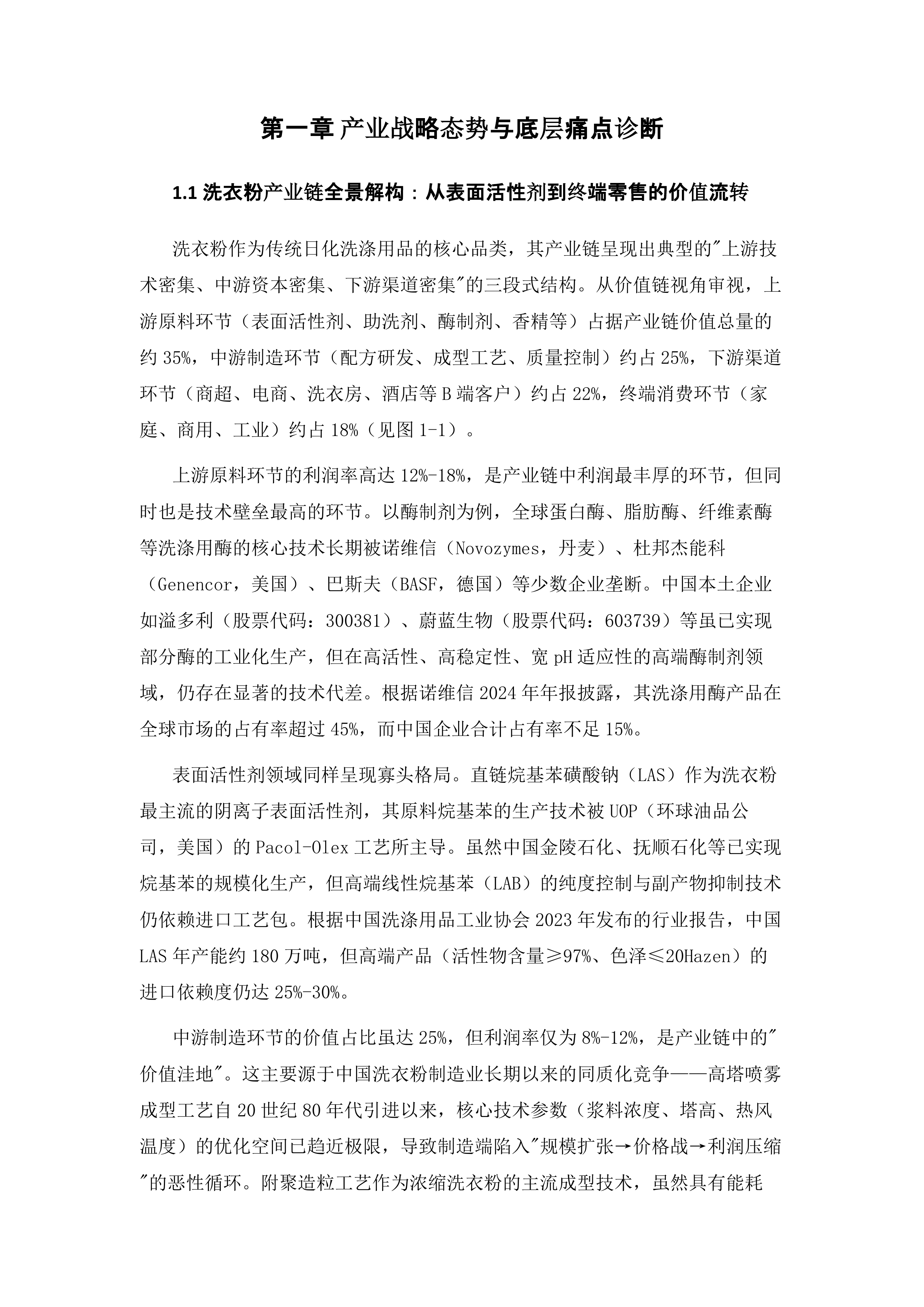 2026年日化用品（洗衣粉）产业专利导航与技术战略分析报告-国家市场监督管理总局 第5页