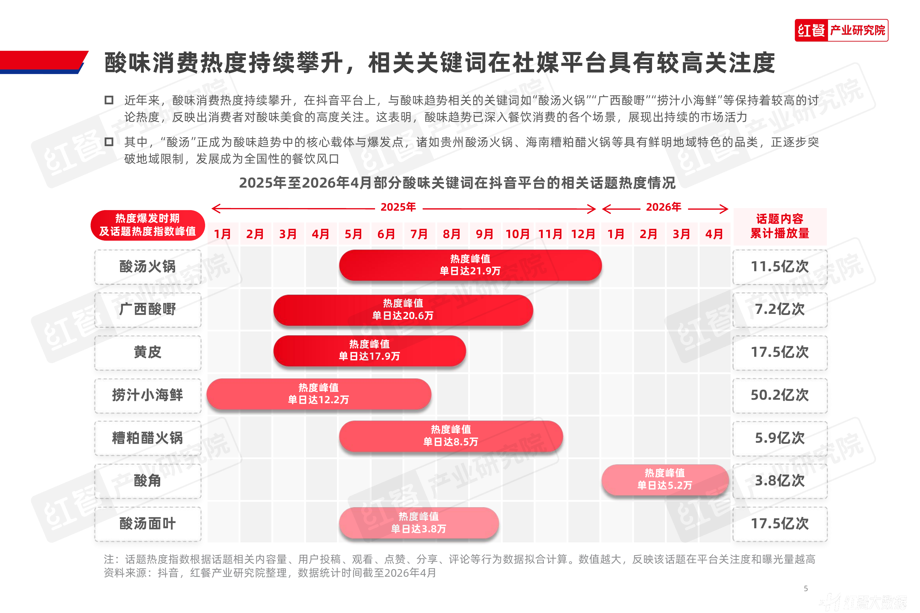 餐饮酸味趋势发展报告2026-红餐产业研究院 第5页