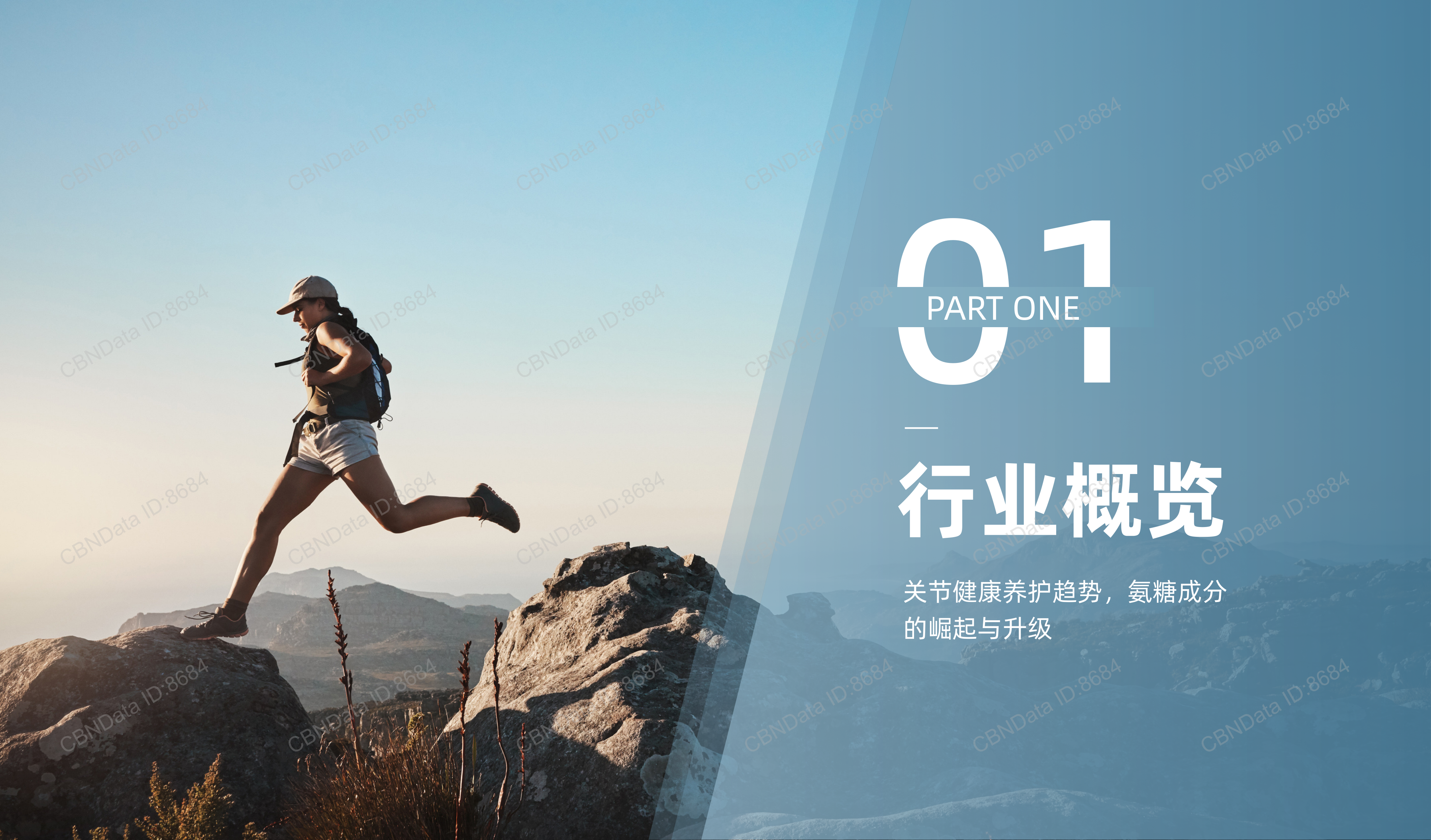关节健康，吸收有道&mdash;&mdash;氨糖消费进阶与选购新主张-迪巧&京东健康 第4页