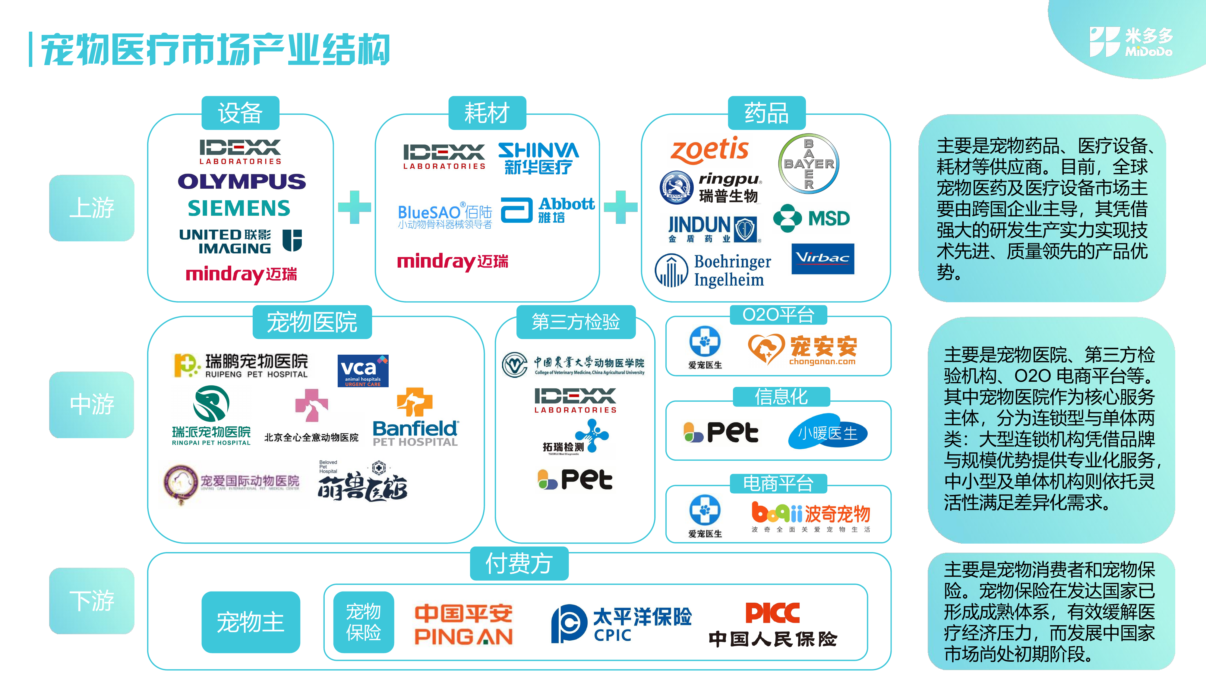 2025全球宠物医疗市场洞察报告-米多多 第8页