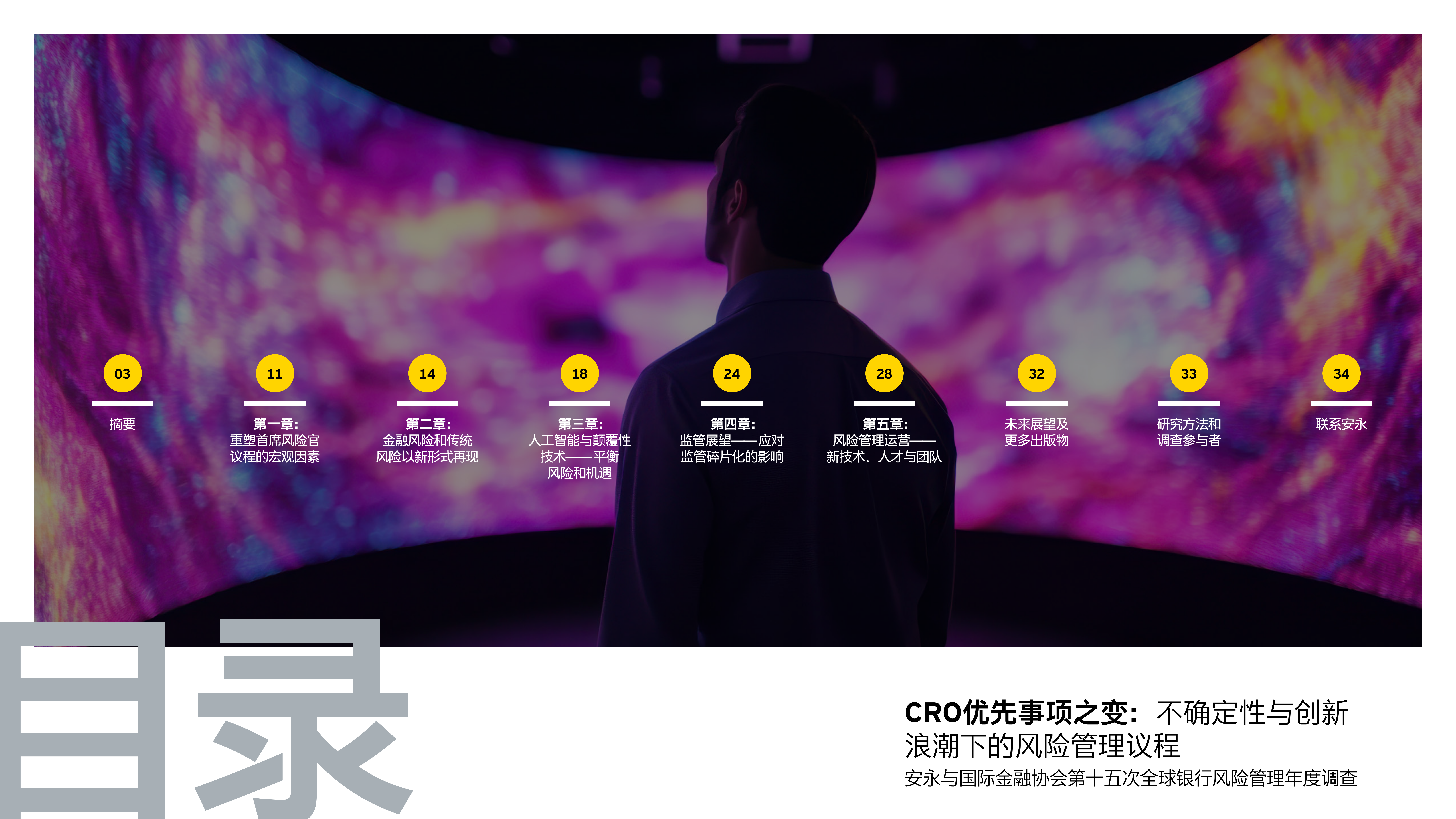 2026第十五次全球银行风险管理年度调查报告-安永国际金融协会 第2页