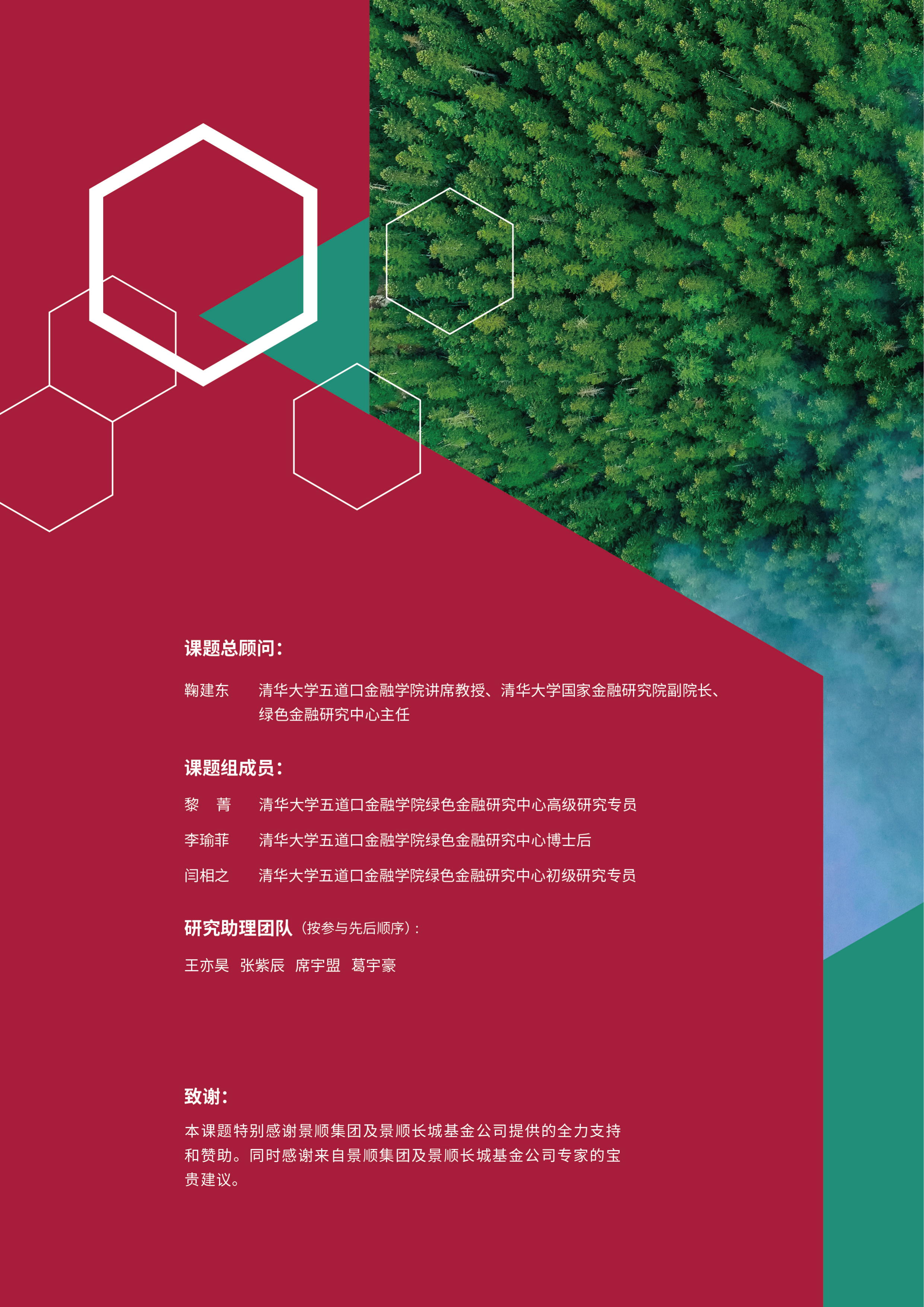 2026年ESG策略与资产配置：基于机构投资者国际实践的案例分析报告-清华五道口绿色金融研究中心 第2页