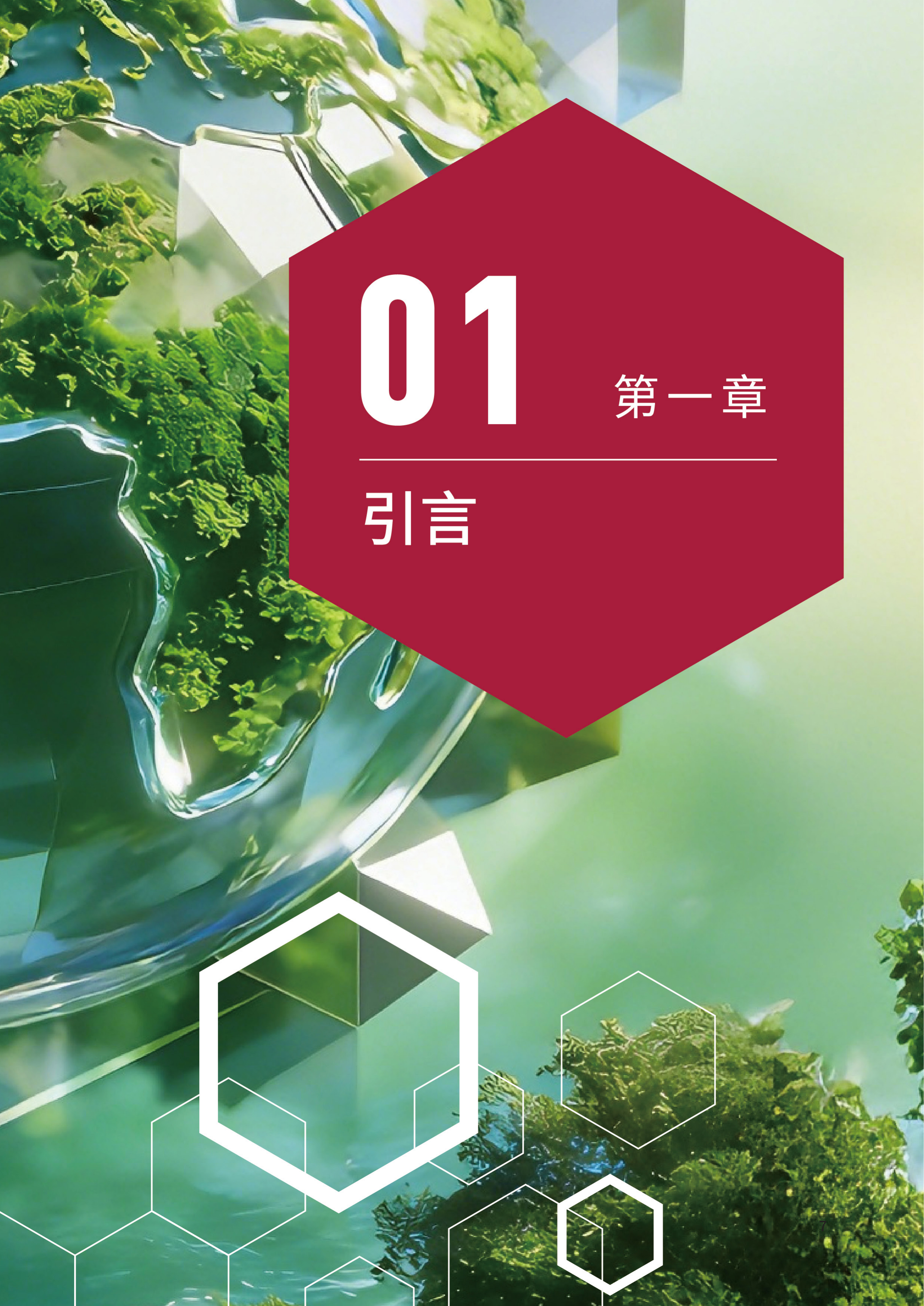 2026年ESG策略与资产配置：基于机构投资者国际实践的案例分析报告-清华五道口绿色金融研究中心 第7页