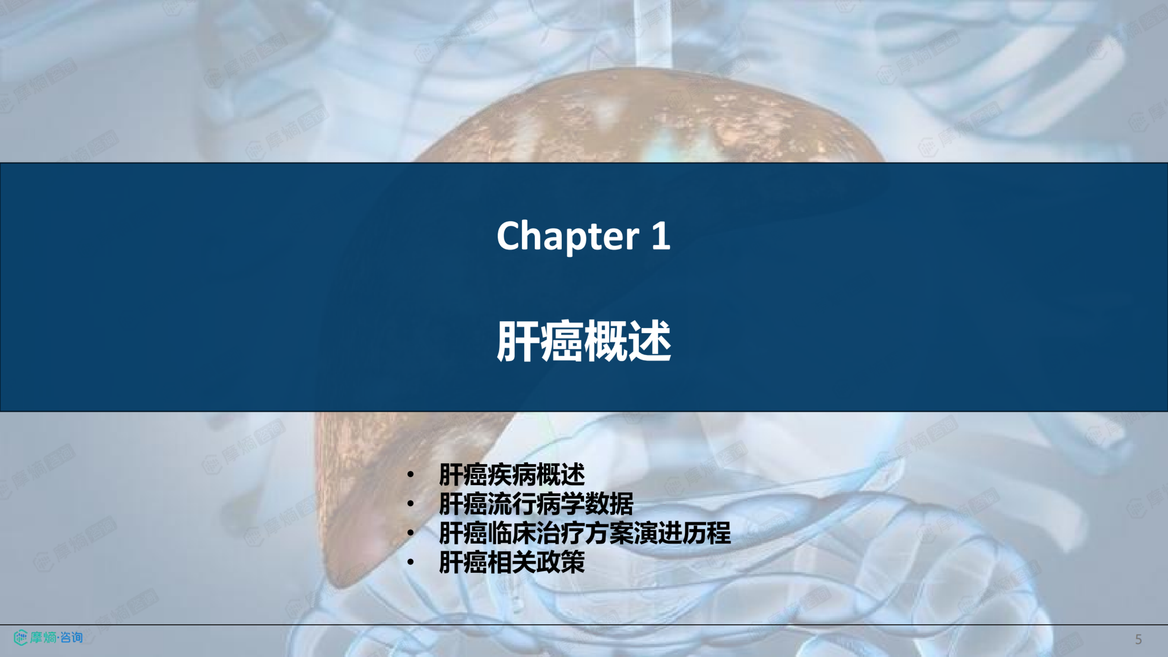 2026年肝癌流行病学趋势及热门靶点药物市场表现洞察报告-摩熵咨询 第5页