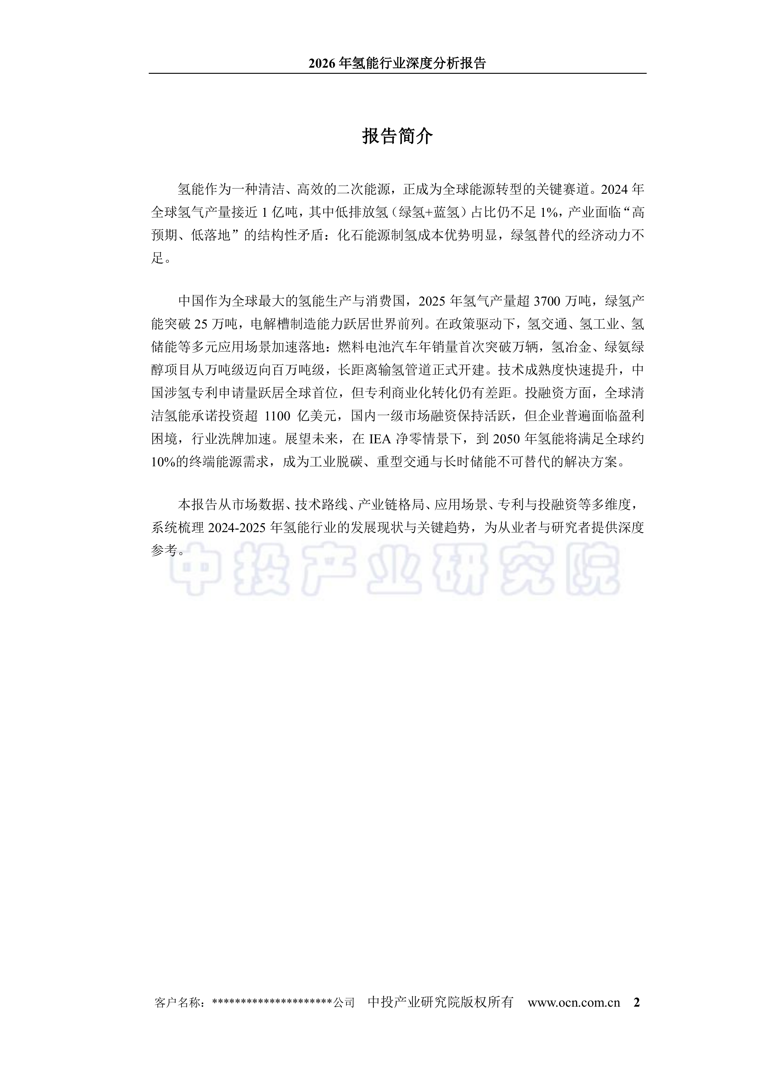 2026年氢能行业深度分析报告-中投顾问 第2页