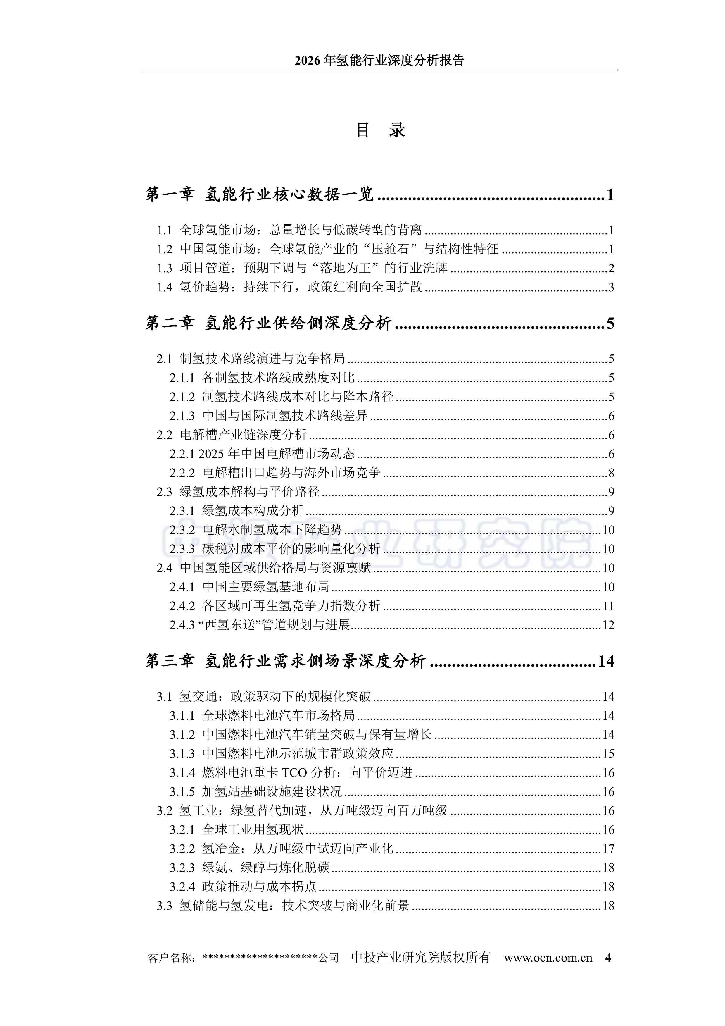 2026年氢能行业深度分析报告-中投顾问 第4页