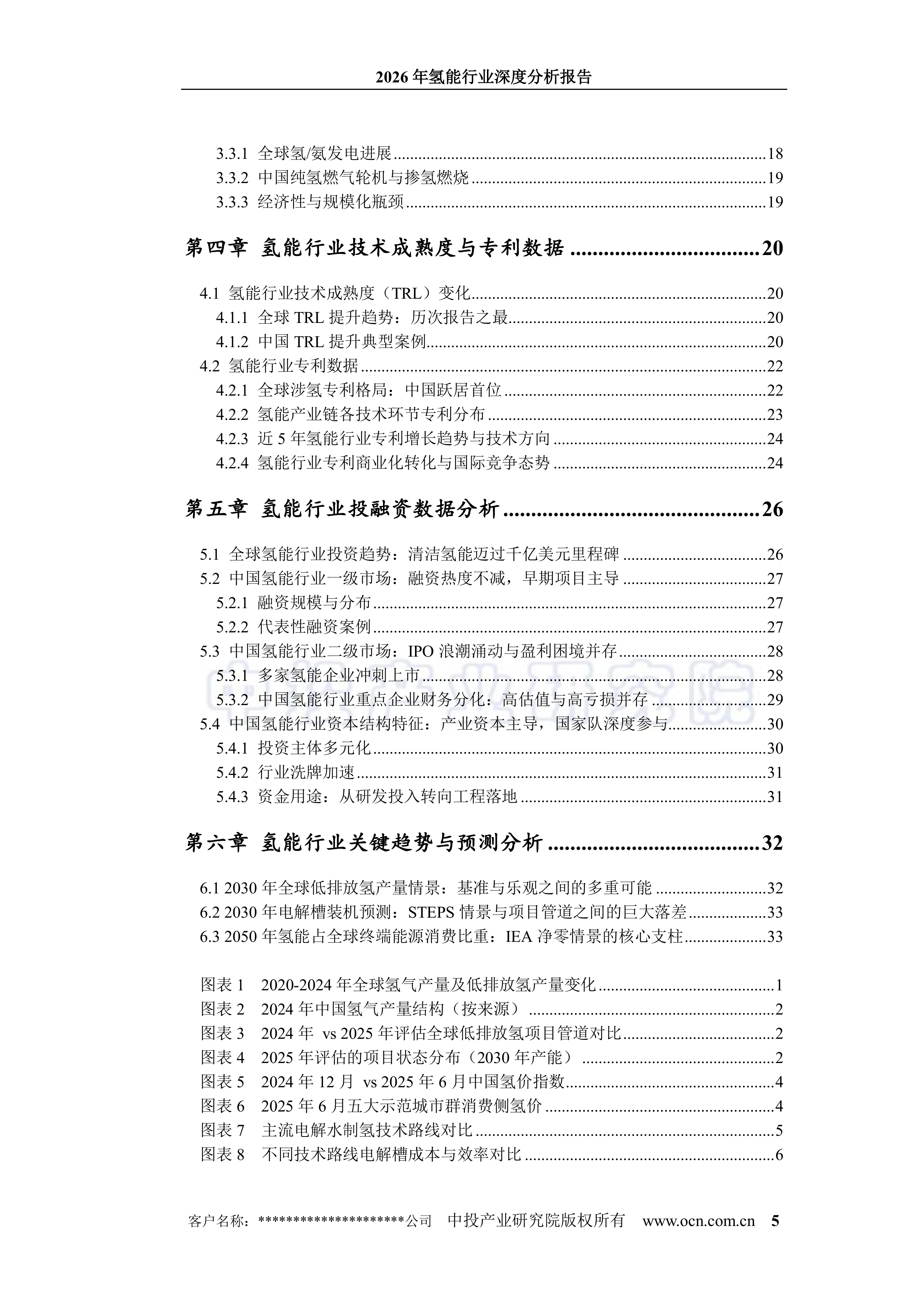 2026年氢能行业深度分析报告-中投顾问 第5页