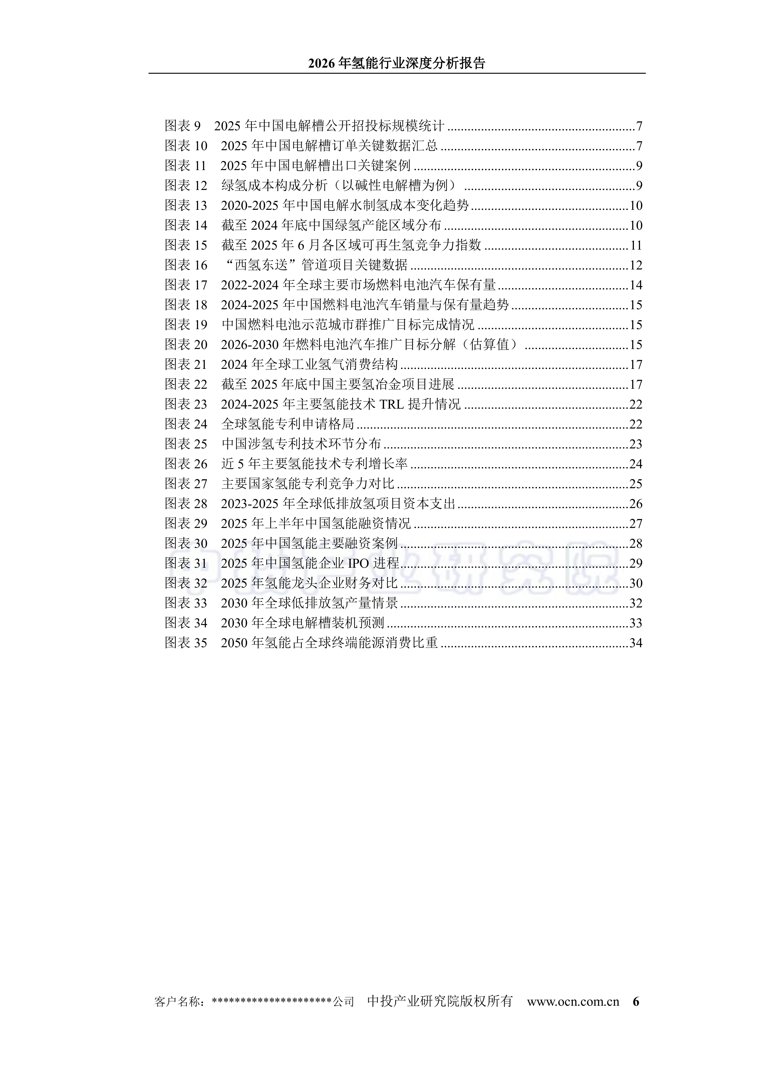 2026年氢能行业深度分析报告-中投顾问 第6页