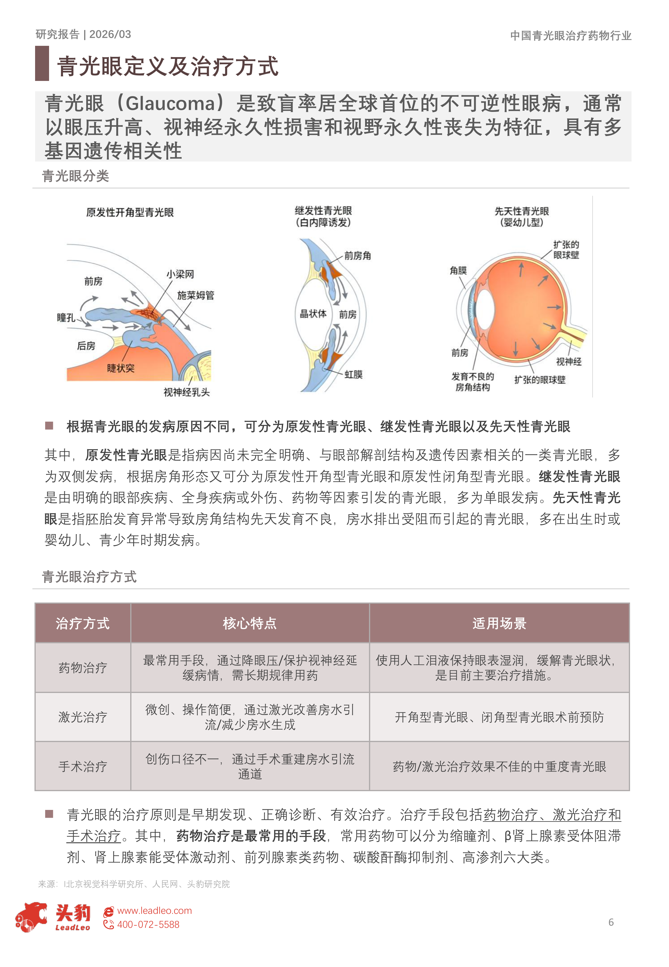 2026年中国青光眼治疗药物市场洞察报告：国产替代驱动精准治疗变革，兴齐、兆科引领&ldquo;视神经保护&rdquo;新纪元（精华版） 第6页