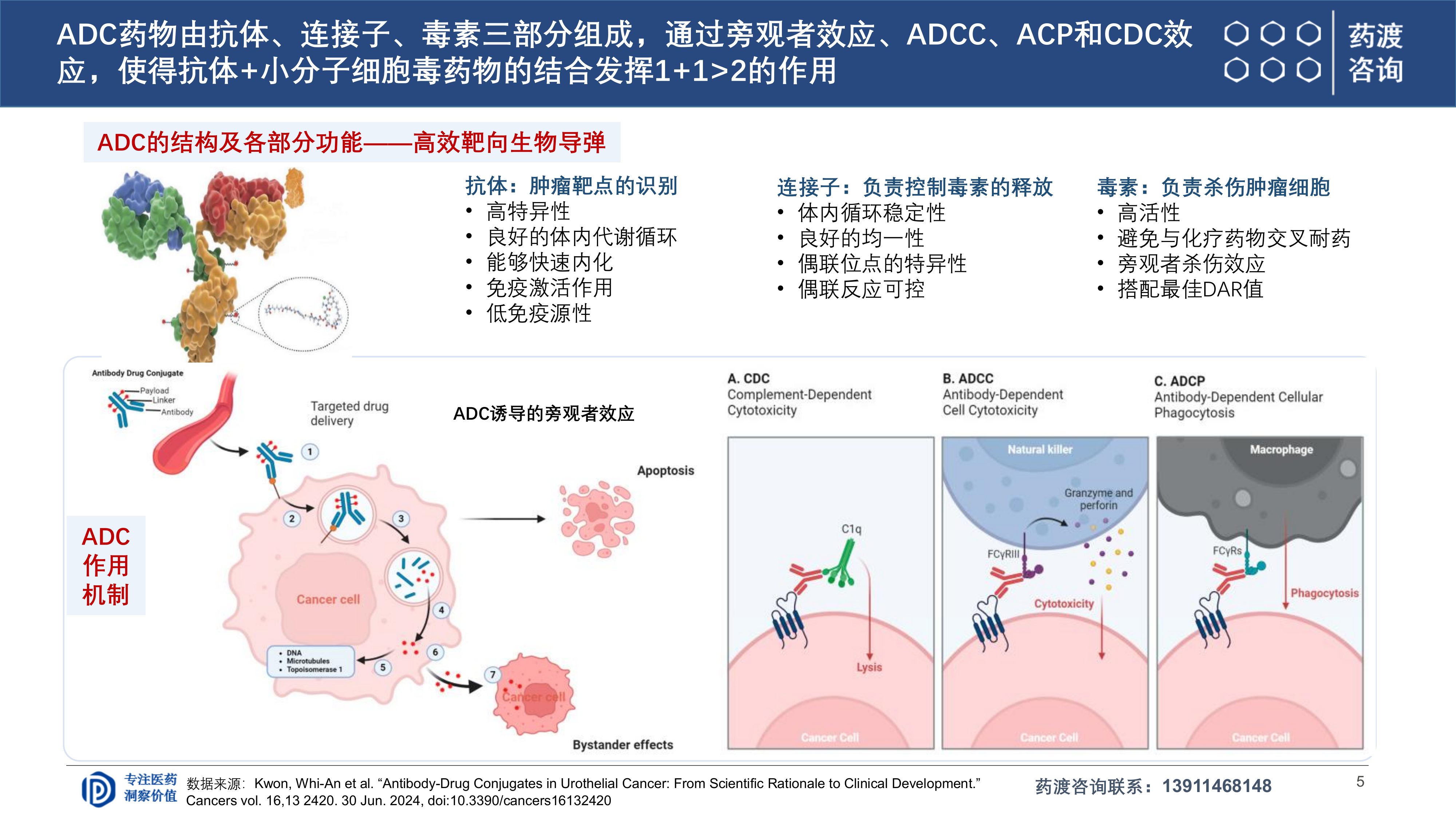 2026年ADC研发全球格局与下一代演进趋势报告-药渡 第5页