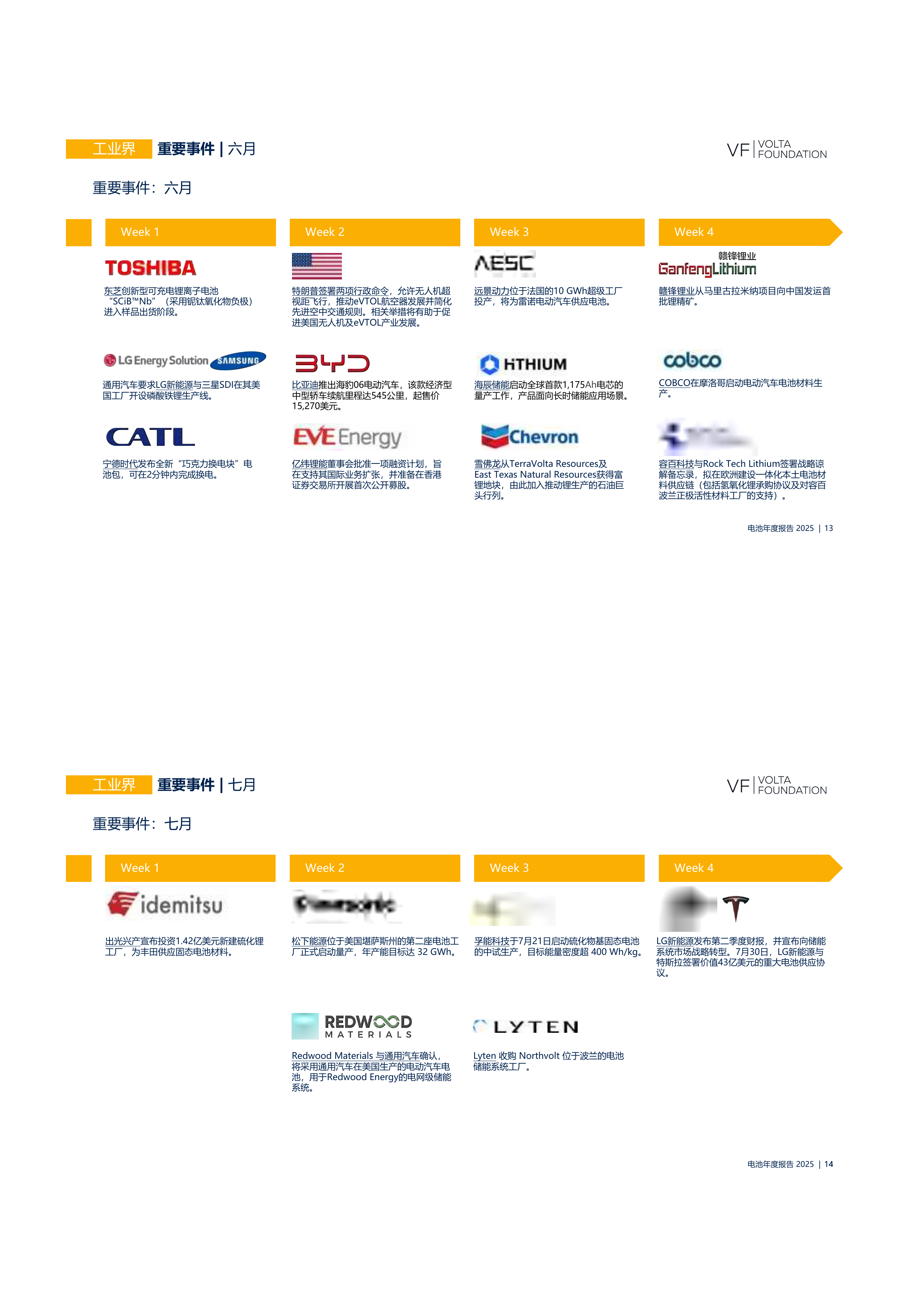 2025-2026电池行业年度报告-沃尔特基金会VoltaFoundation 第7页