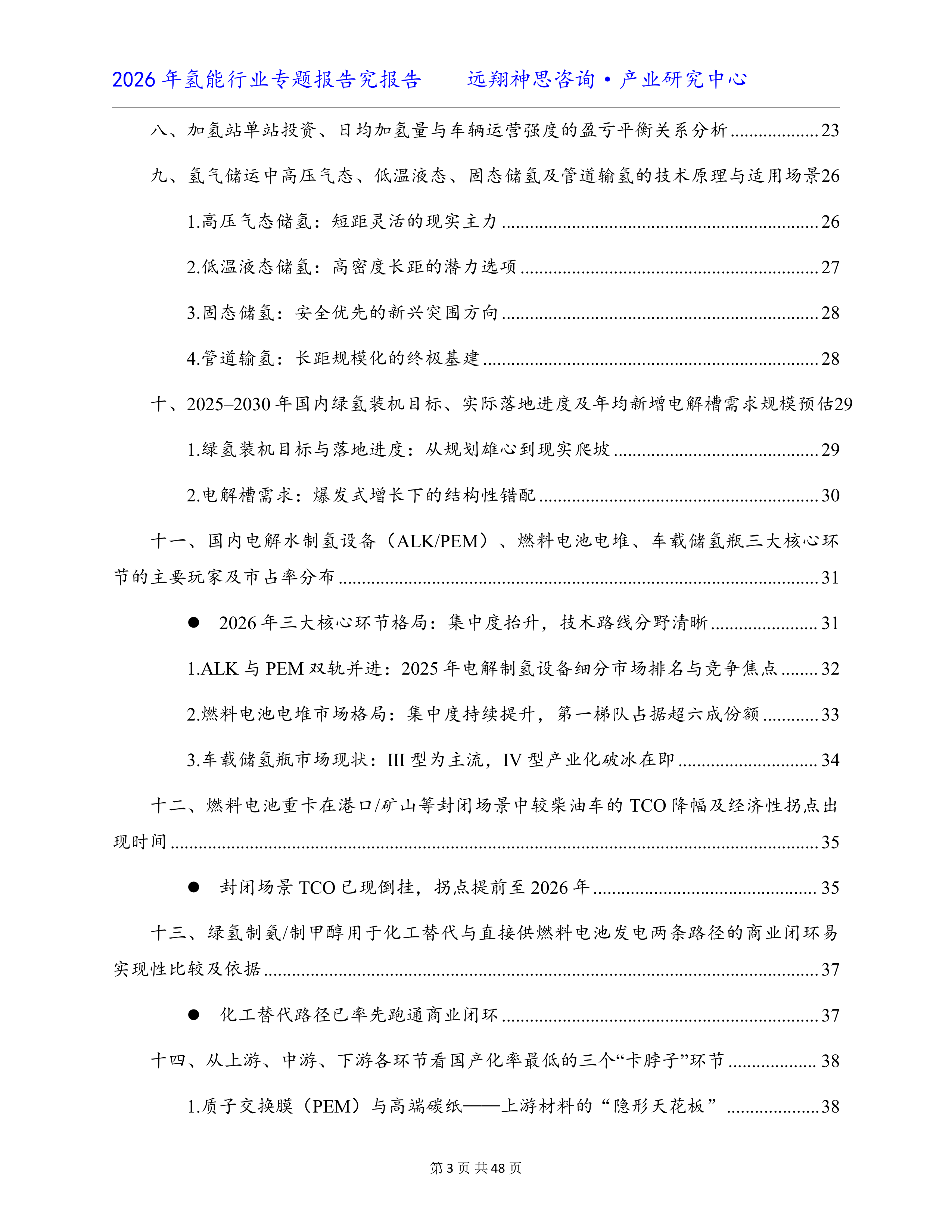 2026中国氢能行业专题市场研究报告-远翔神思咨询 第3页