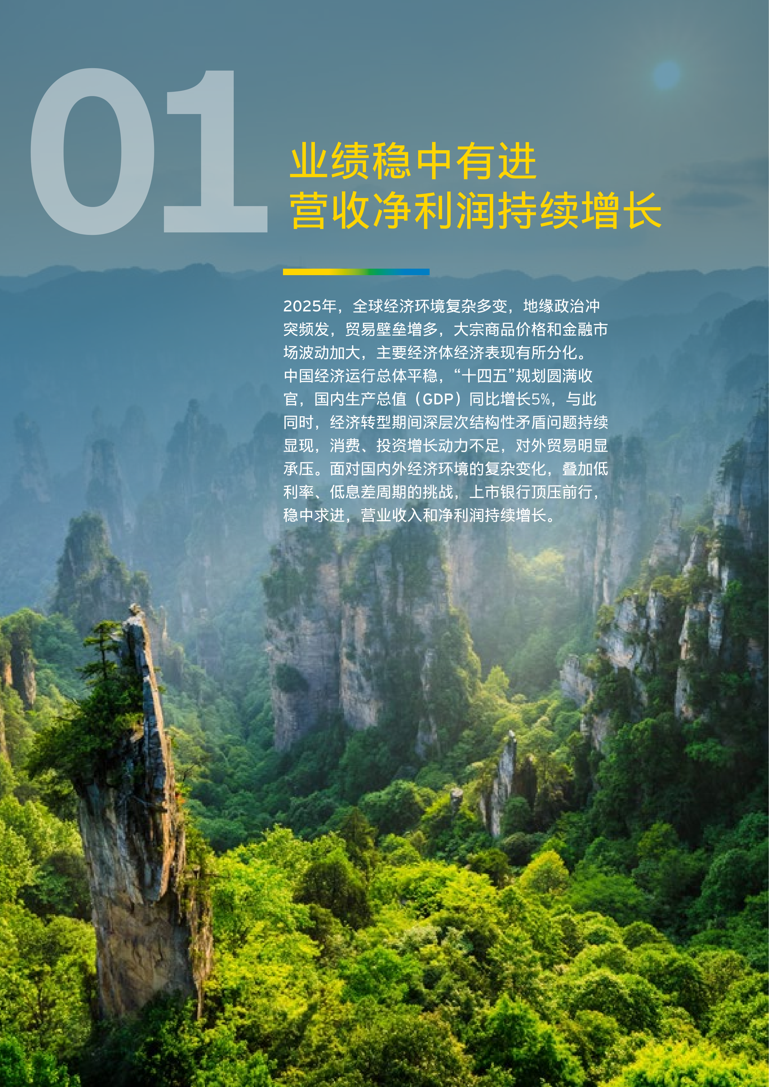 中国上市银行2025年回顾与未来展望报告-EY安永 第8页