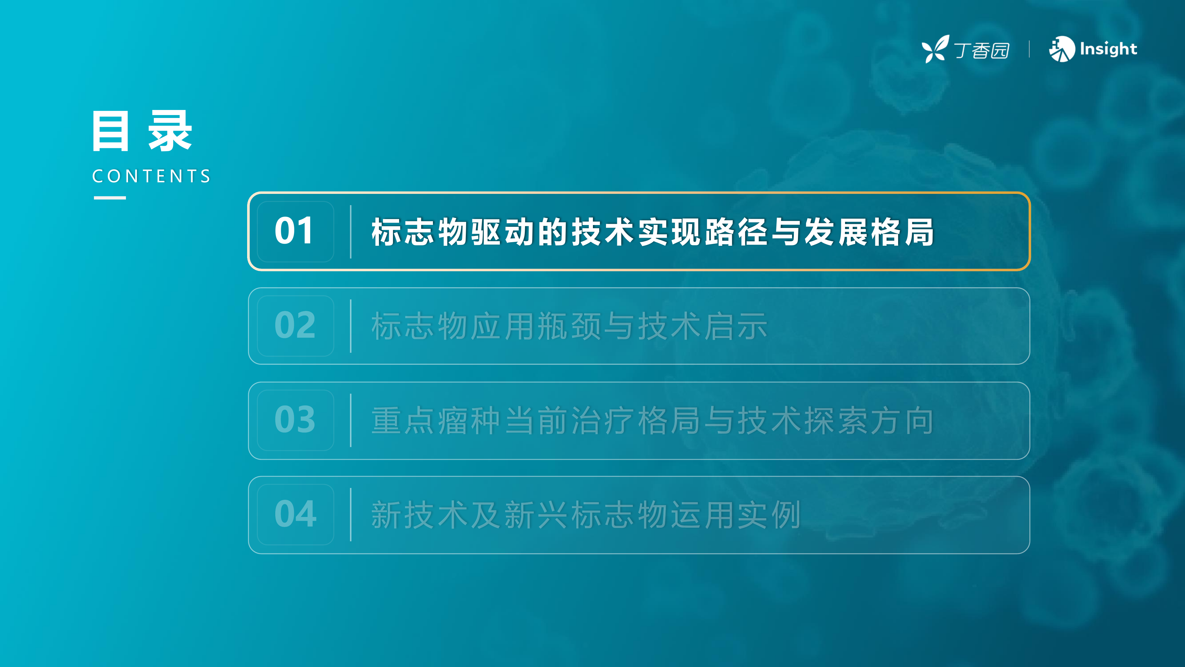 2026年标志物驱动的肿瘤治疗-丁香园 第3页