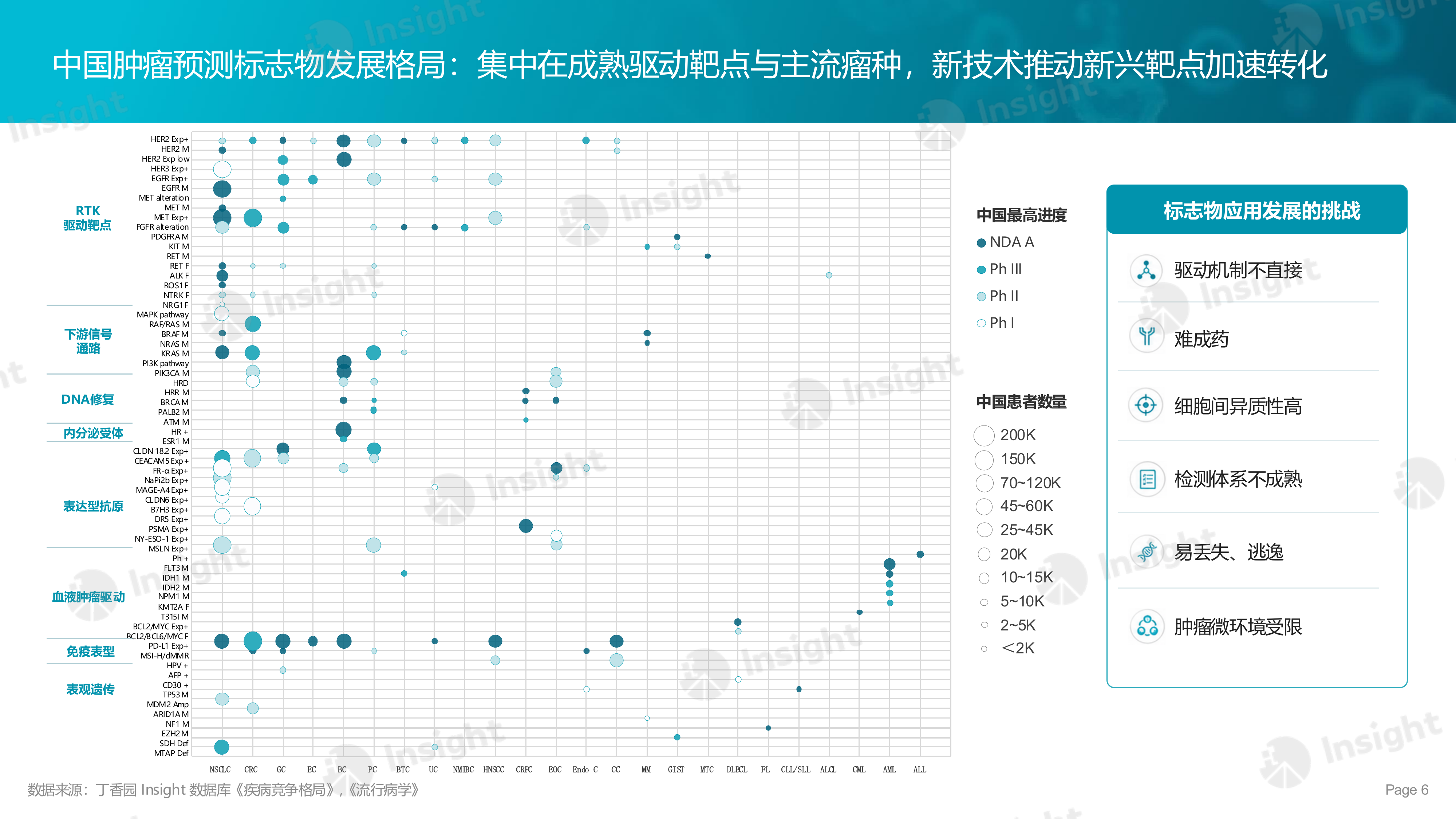 2026年标志物驱动的肿瘤治疗-丁香园 第6页