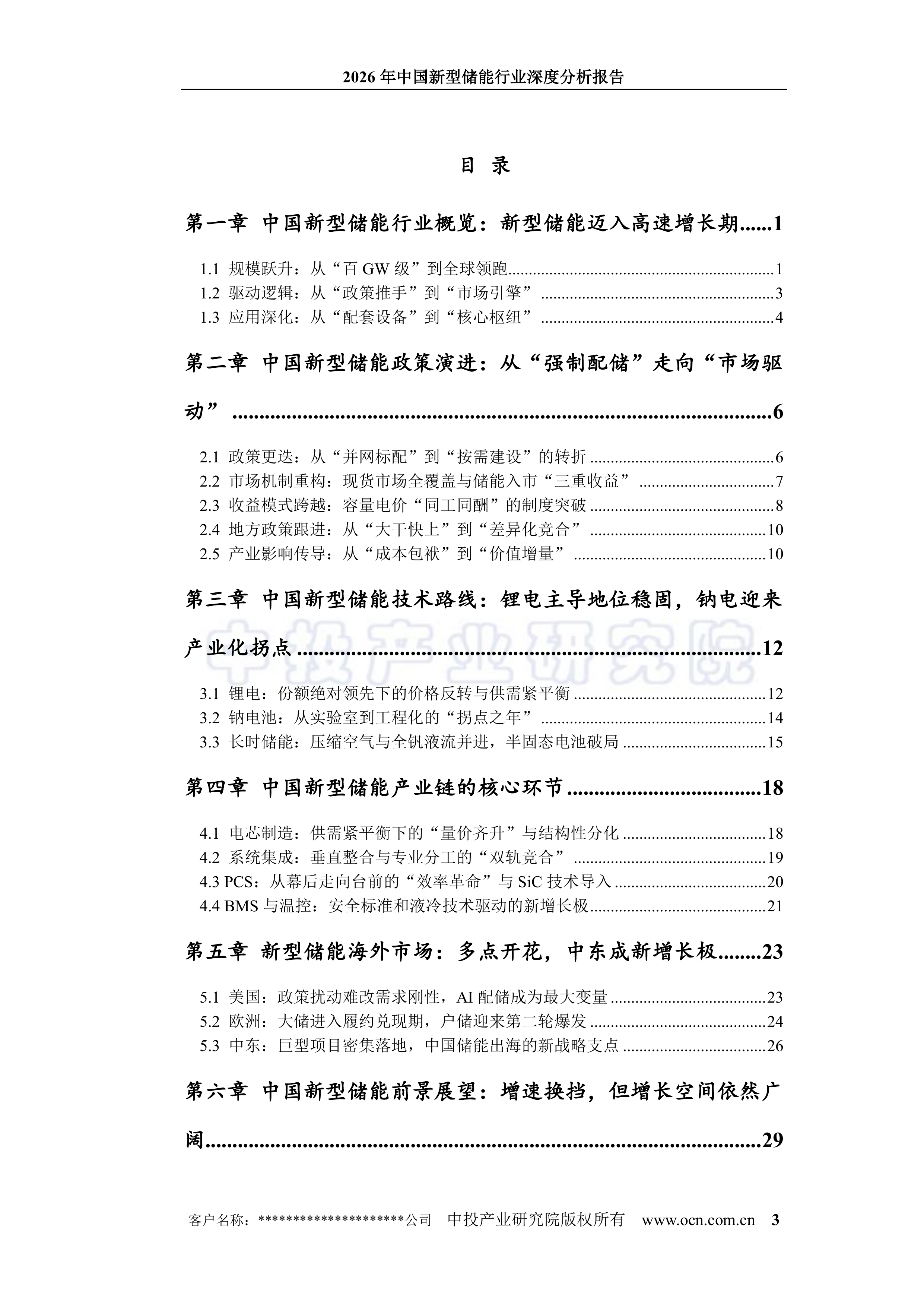 2026年中国新型储能行业深度分析报告-中投顾问 第3页