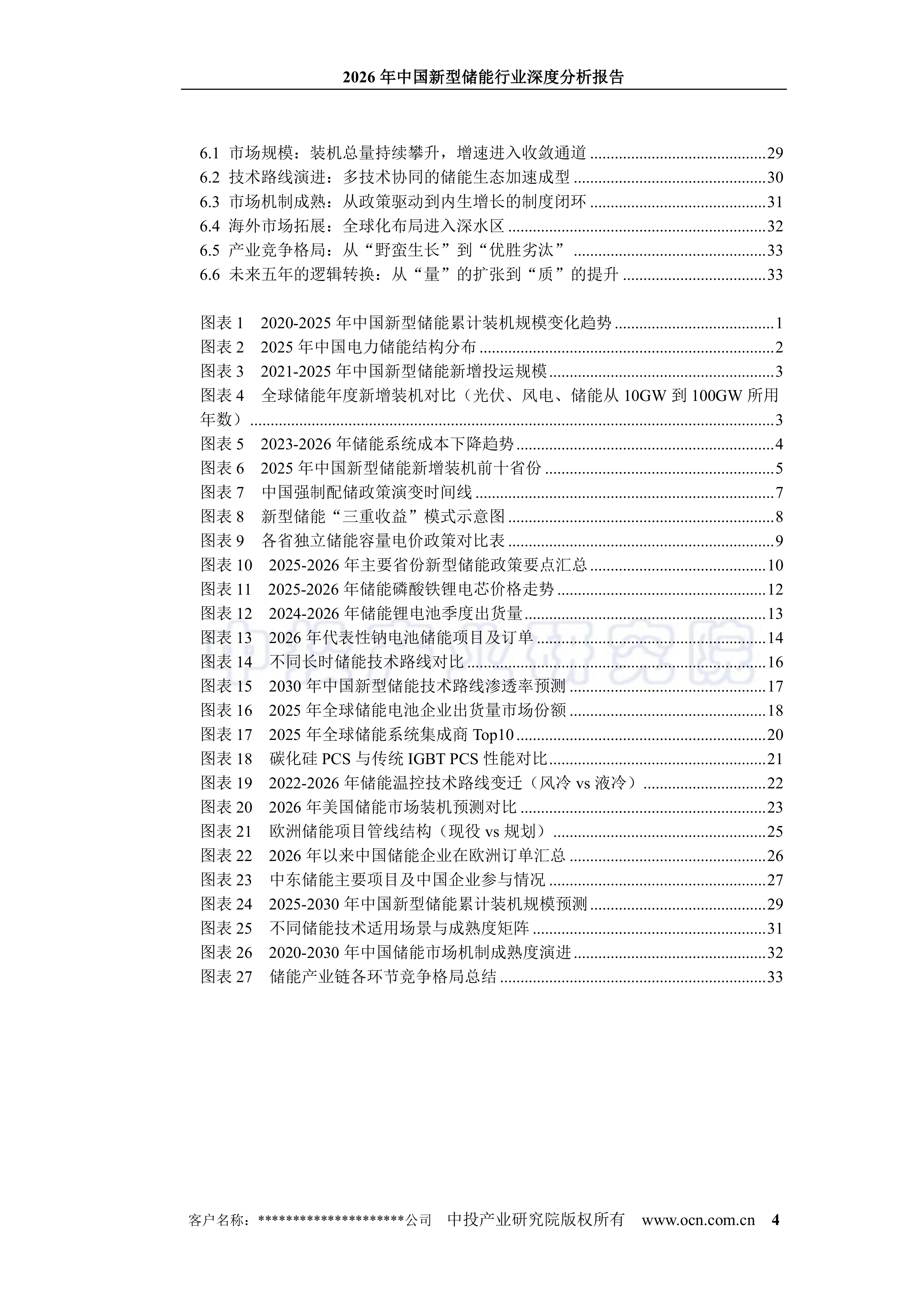 2026年中国新型储能行业深度分析报告-中投顾问 第4页