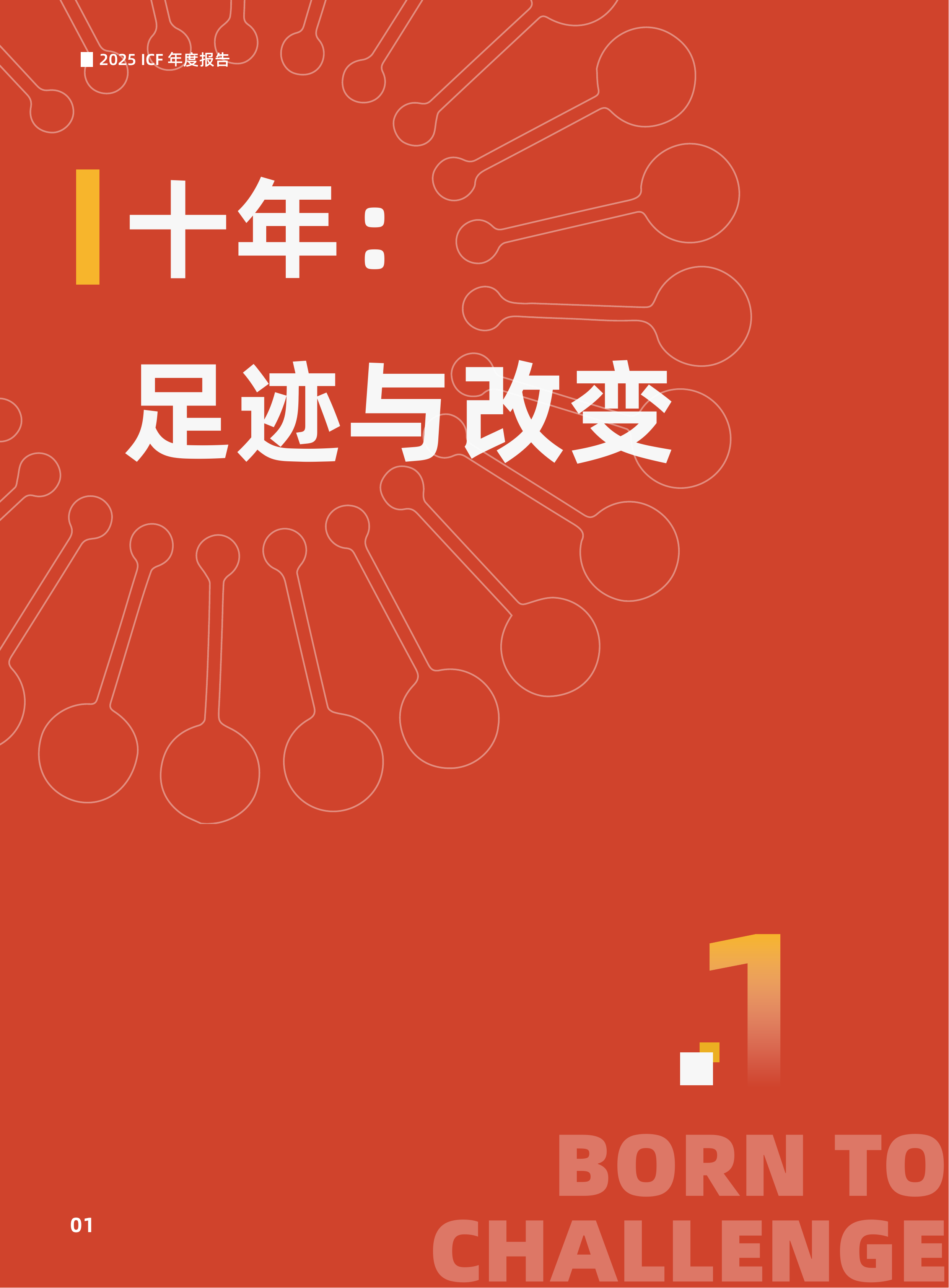 北京病痛挑战公益基金会2025年度报告暨十周年特刊-病痛挑战基金会 第6页