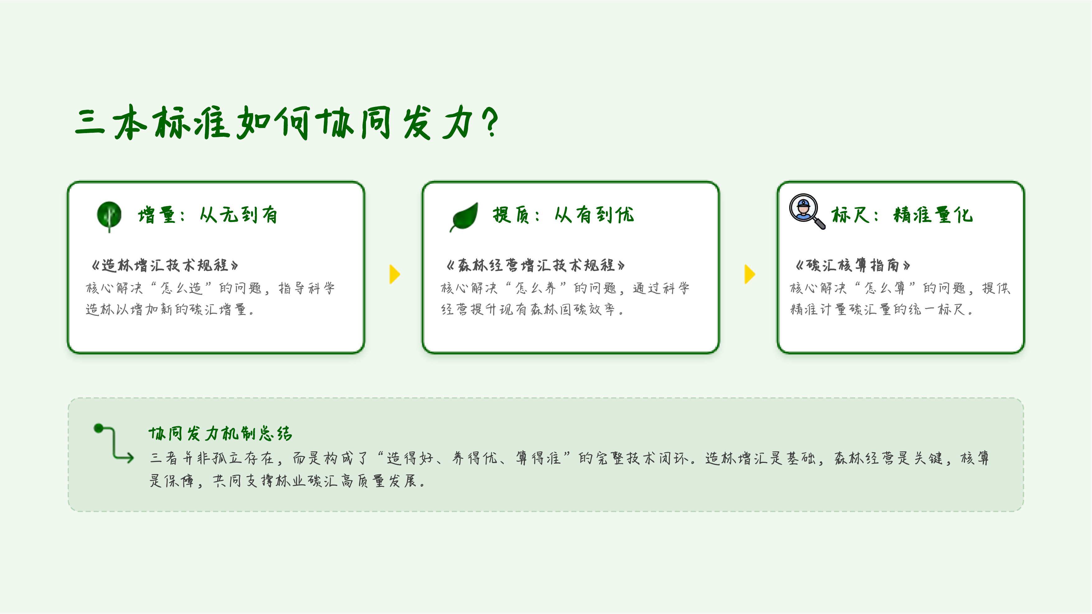 点&ldquo;碳&rdquo;成金，提质增汇&mdash;&mdash;林业碳汇国家标准深度解读与创新实践 第6页