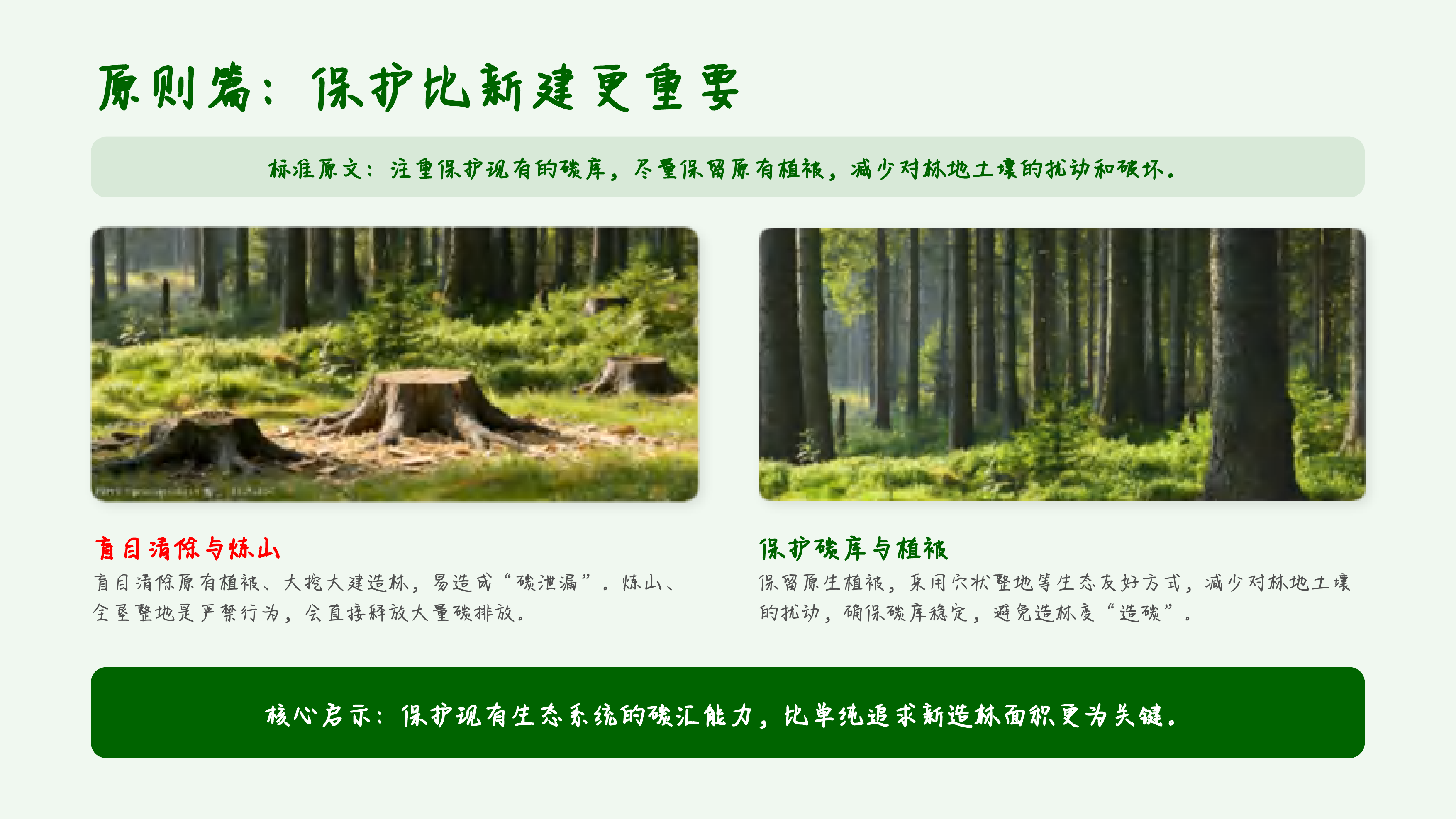 点&ldquo;碳&rdquo;成金，提质增汇&mdash;&mdash;林业碳汇国家标准深度解读与创新实践 第8页