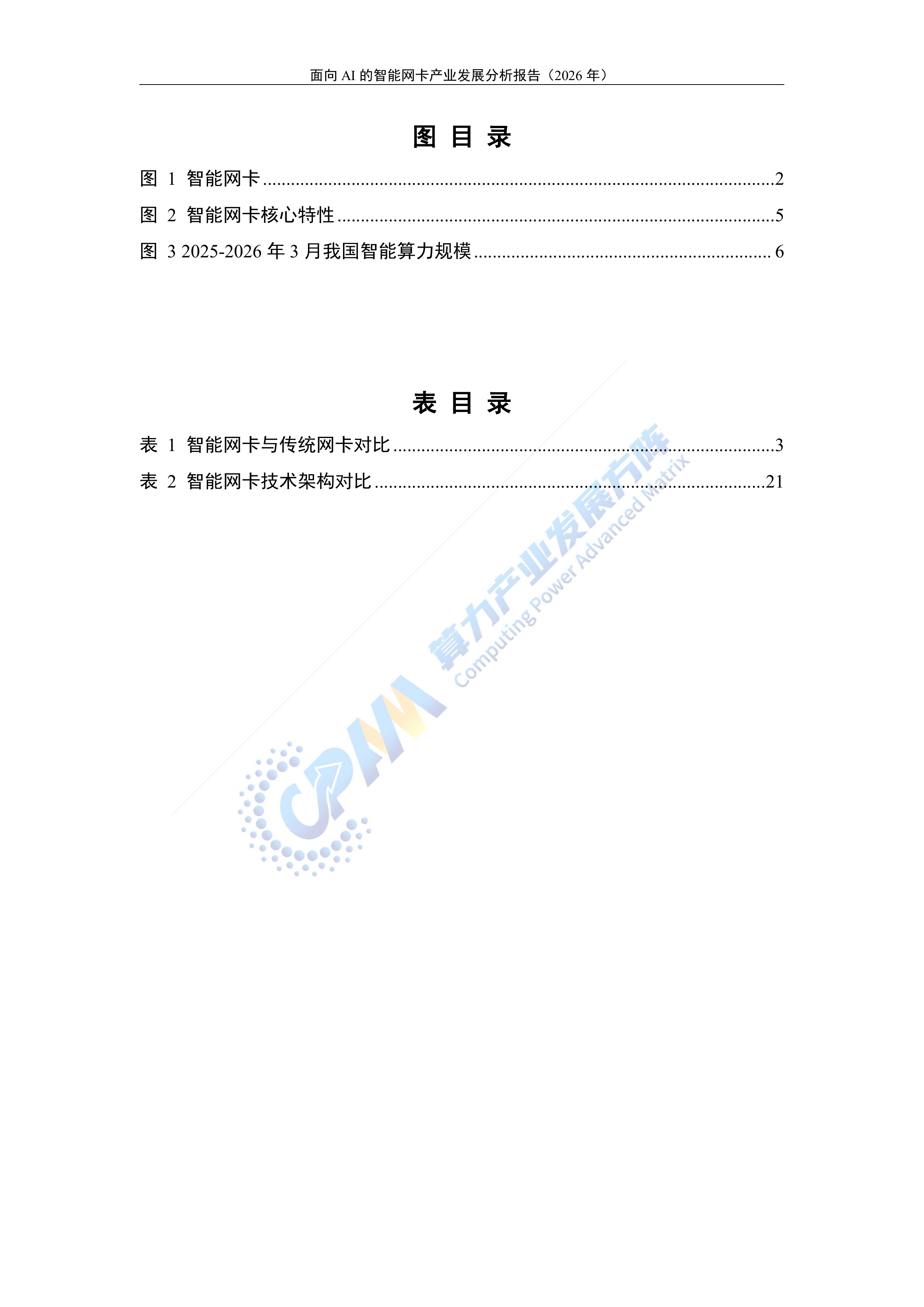 面向AI的智能网卡产业发展分析报告（2026年）-算力产业发展方阵 第4页