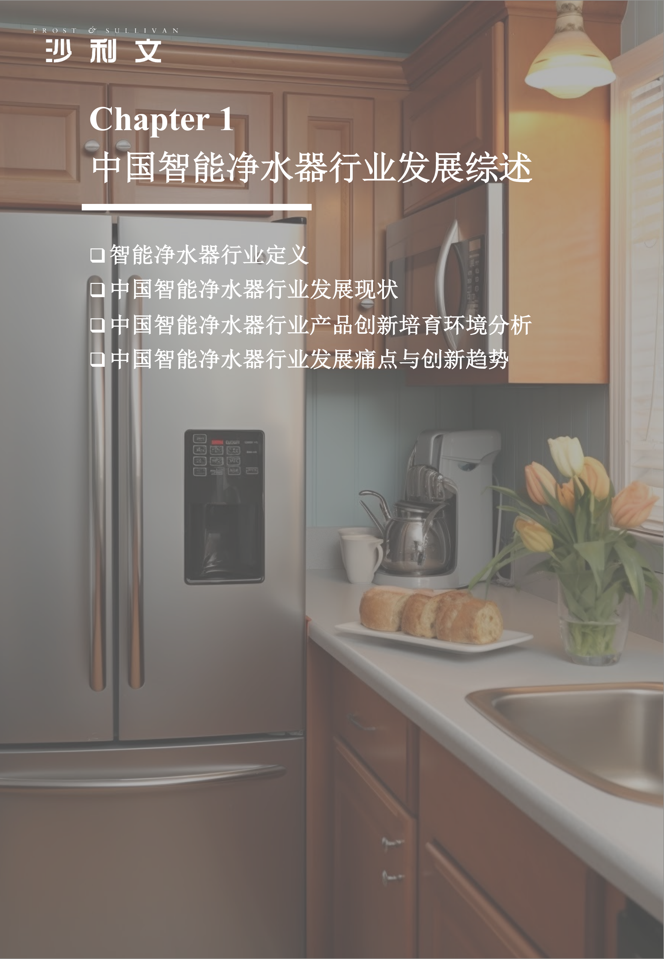2026年全球产品创新指数系列研究报告第3期：智能净水家电进化新路径，前置过滤器品类洞察-沙利文 第8页