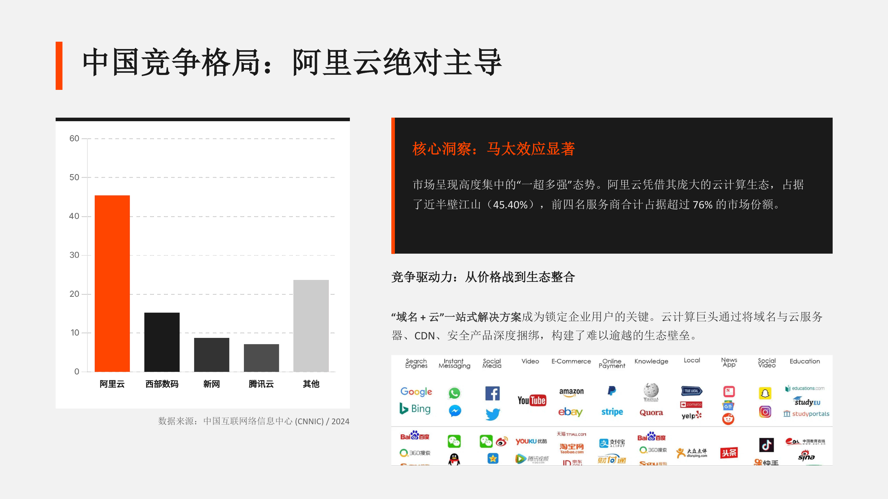 全球与中国域名市场研究报告（AI驱动的数字身份变革2024-2025） 第5页