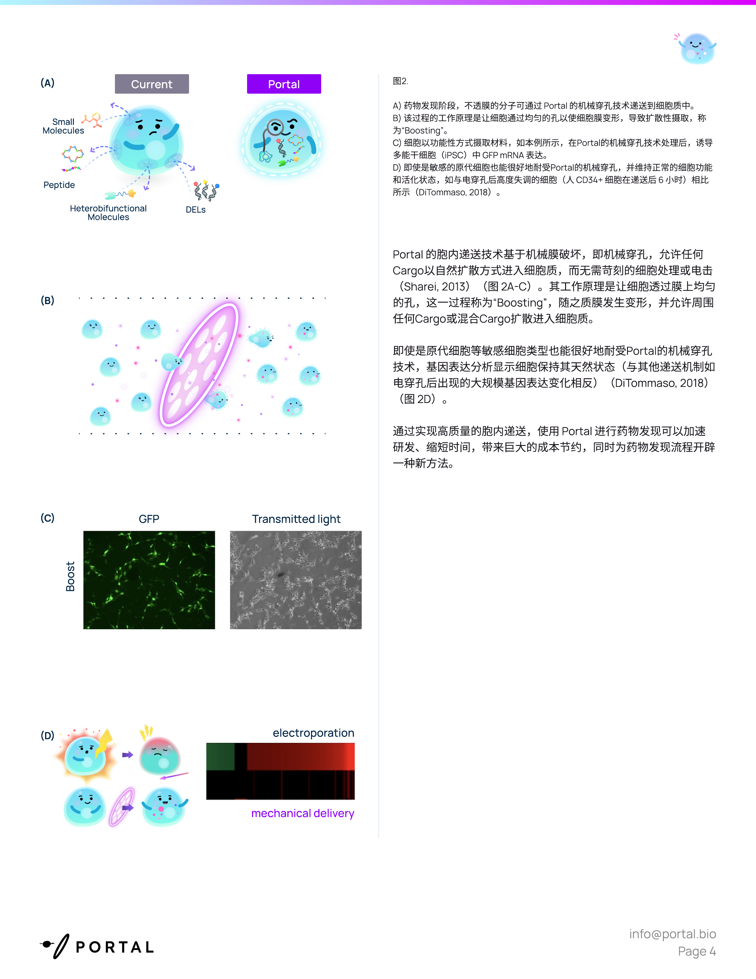 2026药物发现白皮书－攻克透膜性难题胞内递送技术开启药研新时代 第4页