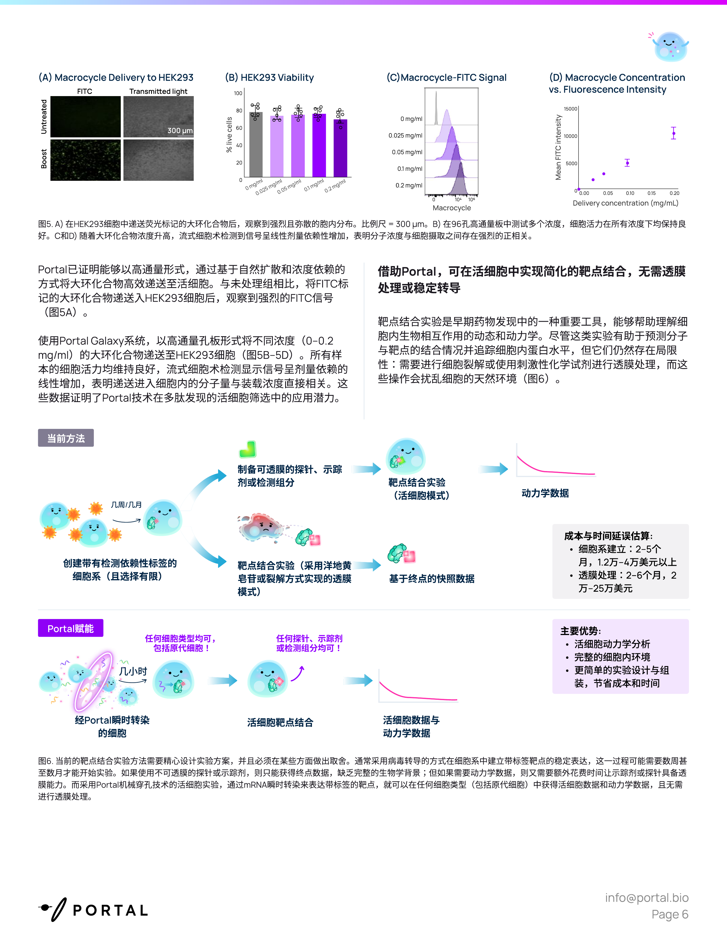 2026药物发现白皮书－攻克透膜性难题胞内递送技术开启药研新时代 第6页