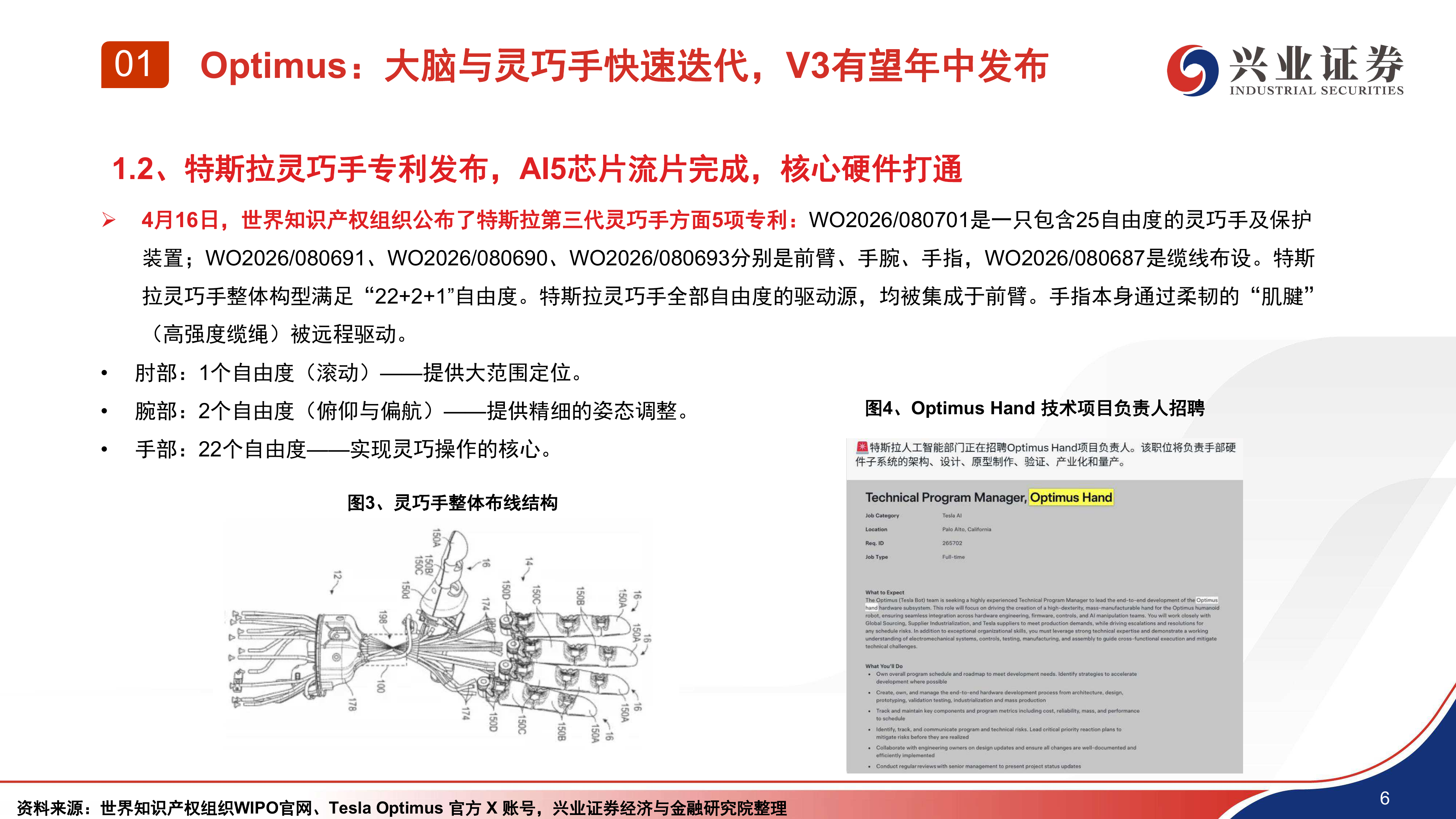 汽车行业：机器人量产元年，海外与国内机器人共线发展-兴业证券 第7页