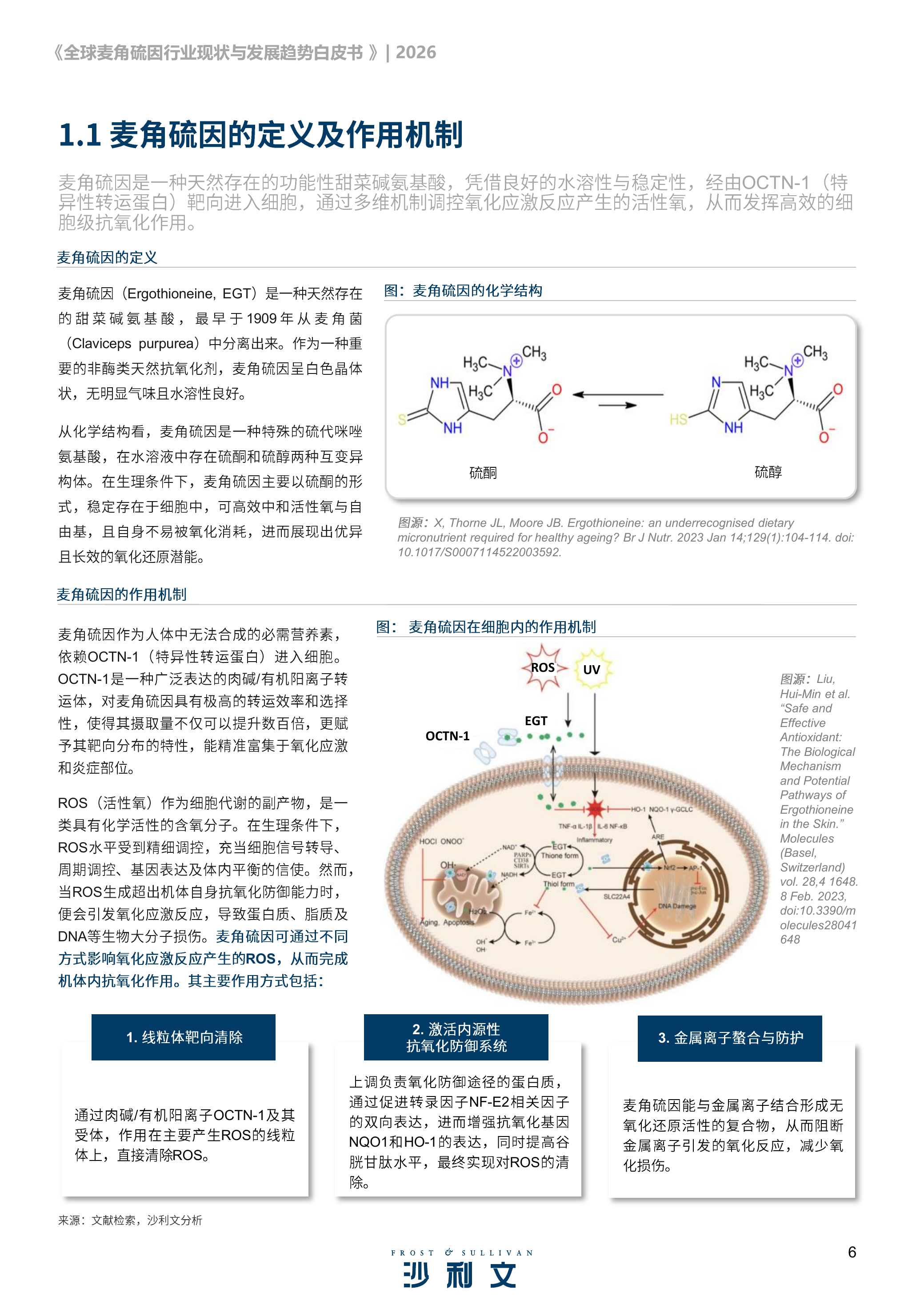 2026全球麦角硫因行业现状及发展趋势白皮书-沙利文 第6页