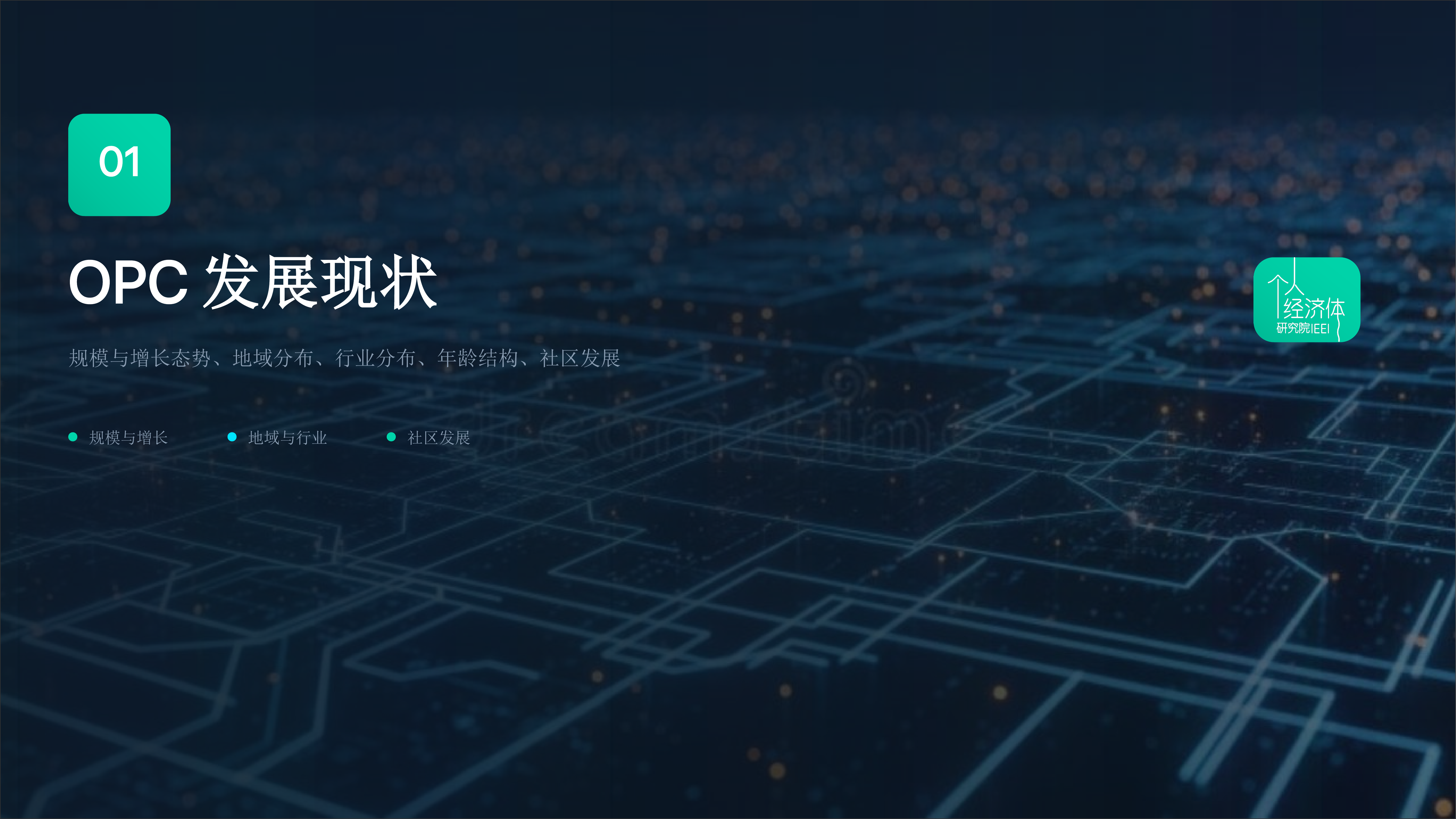 中国OPC发展调研报告2026第二季-个人经济体研究院 第4页