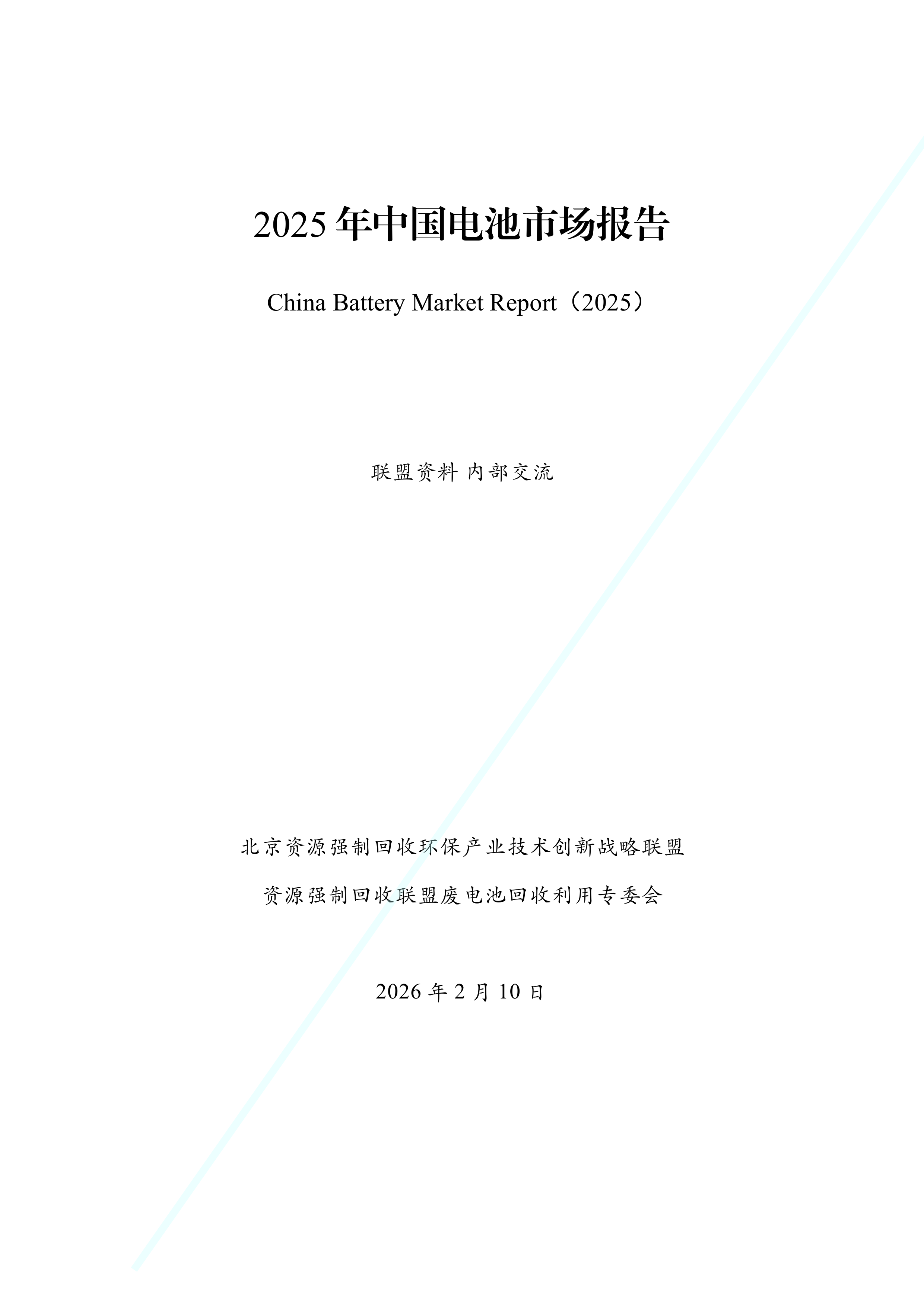 2025年中国电池市场报告-资源强制回收产业联盟 第2页