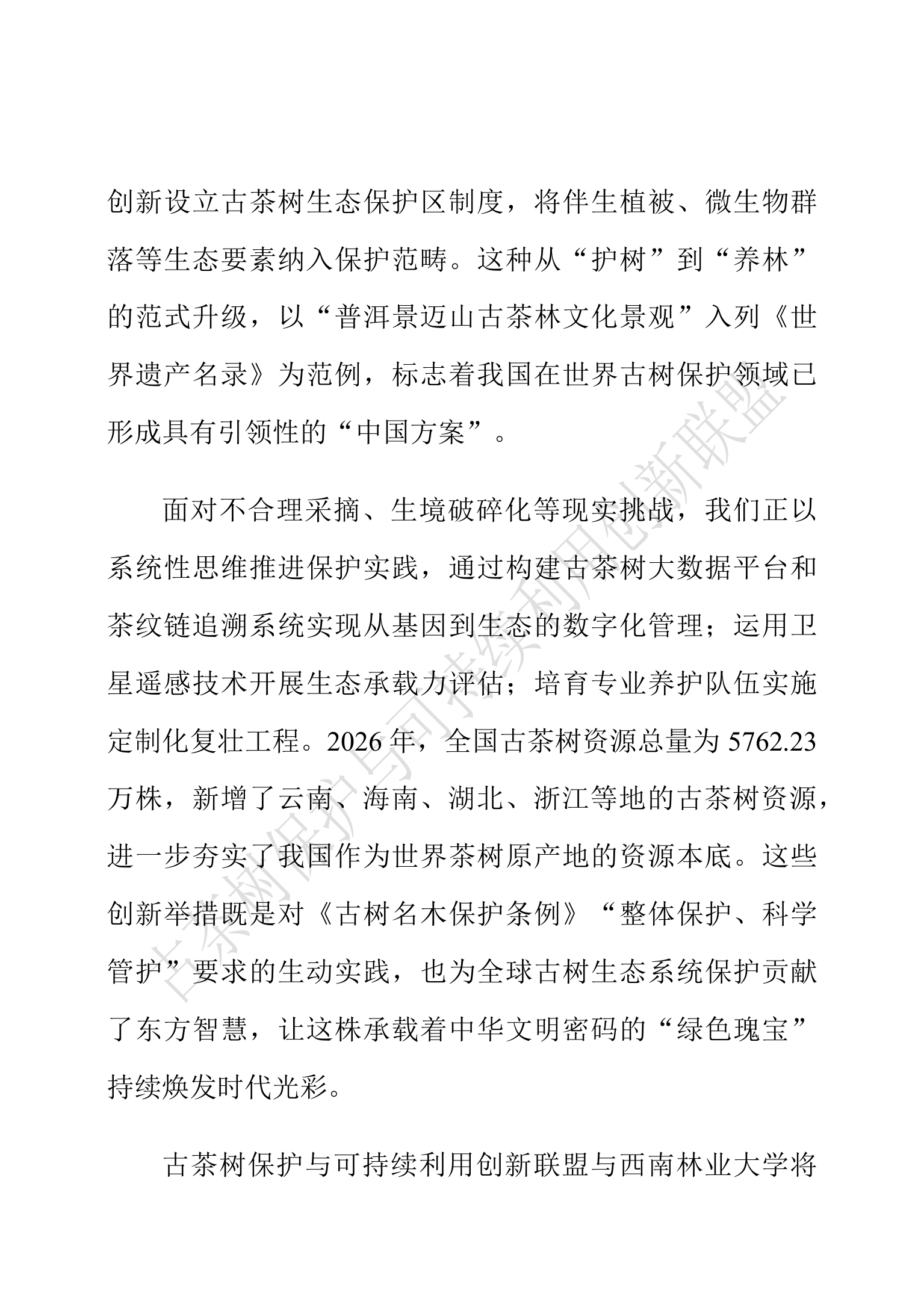 中国古茶树资源状况白皮书（2026）-古茶树联盟 第4页