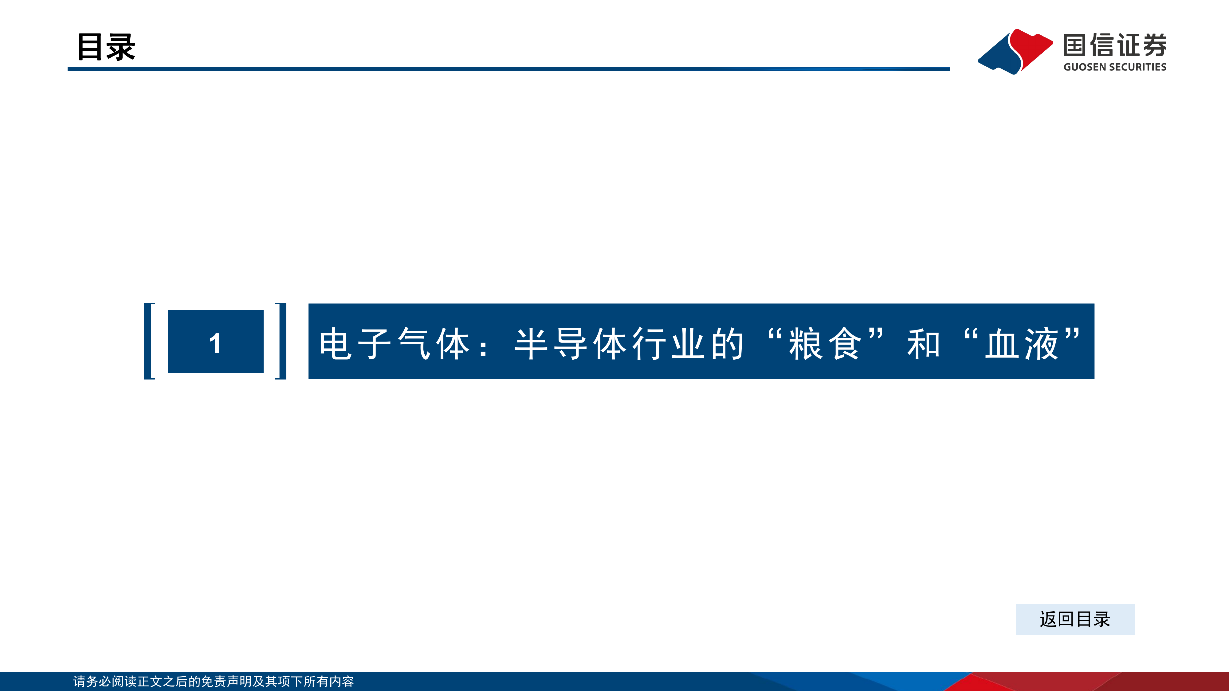 20260626-国信证券-化学制品行业：电子特气与电子大宗气体全景分析报告 第4页